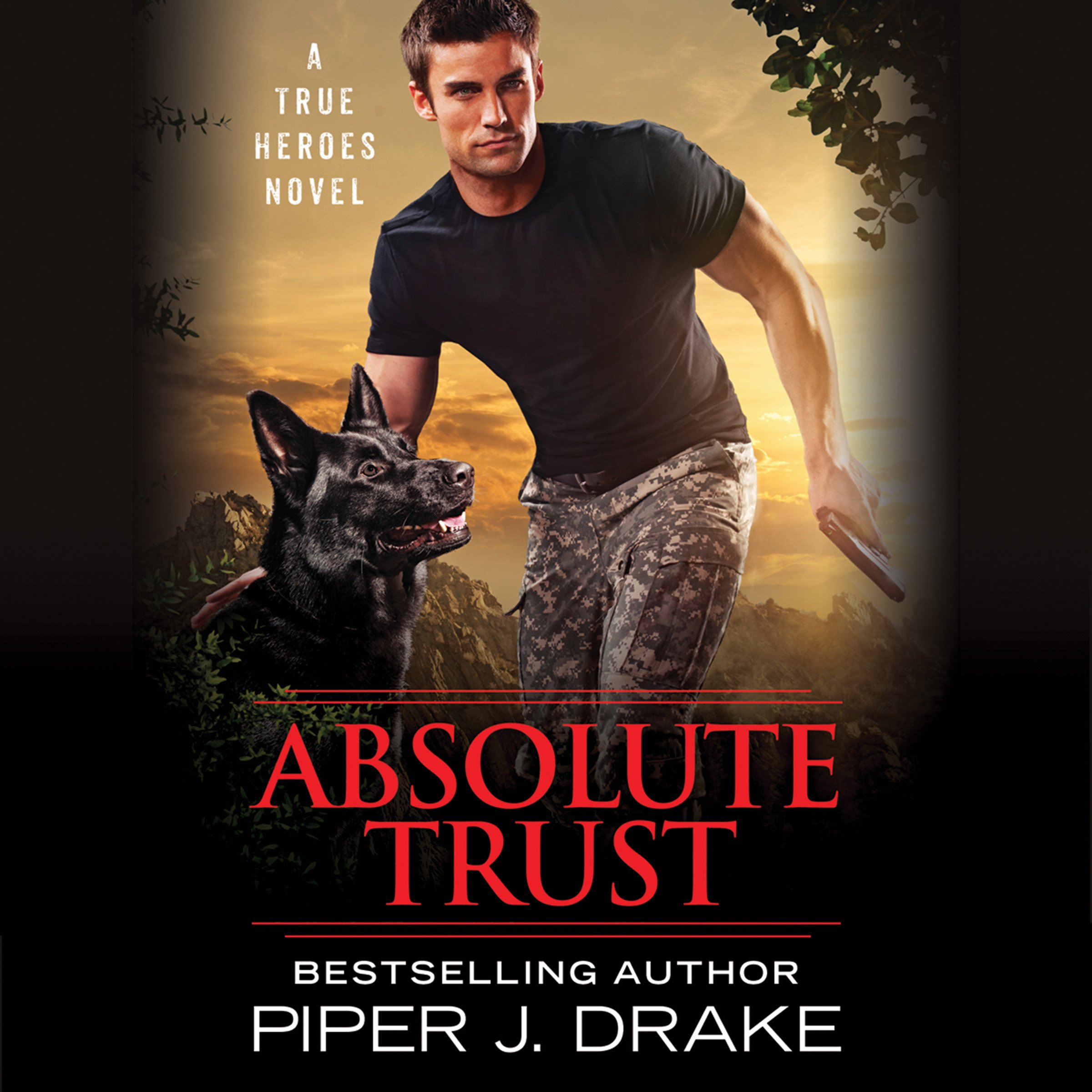 Cover art for Absolute Trust
