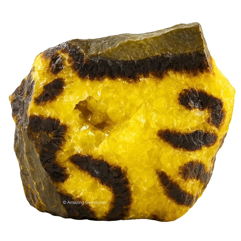 Amazing Gemstone Septarian Raw Crystals and Healing Stones, Natural Rocks For Tumbling - DIY Raw Stones And Crystals (1 Piece)