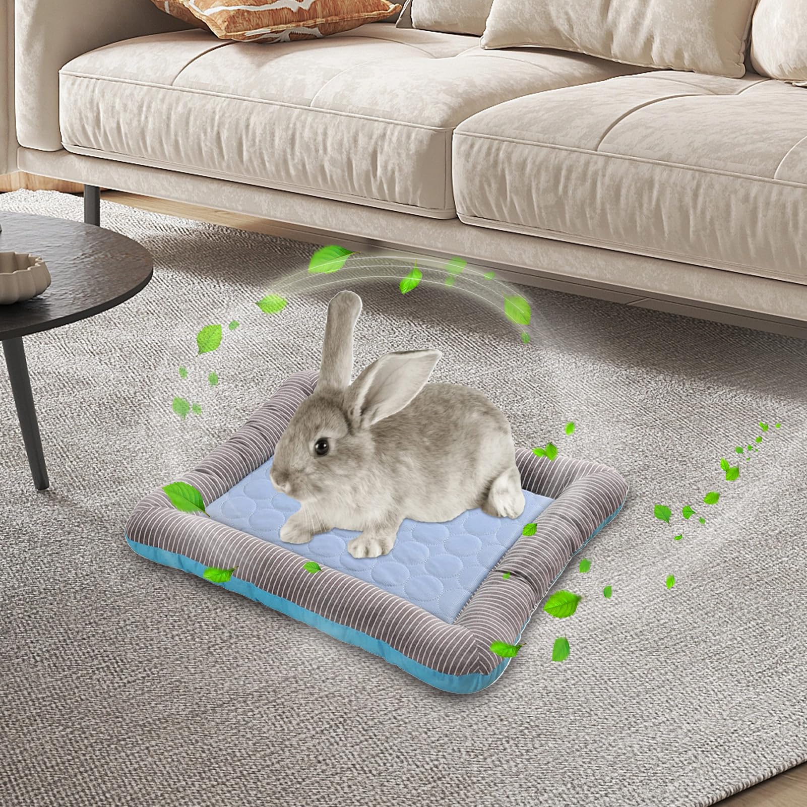 Kühlbett für Katzen: Kaltschlafmatte für den Innenbereich, 45 x 35 cm, erfrischende Produkte für Katzen, verschleißfestes Kissen für Zwinger für Kätzchen, Welpen, Hamste