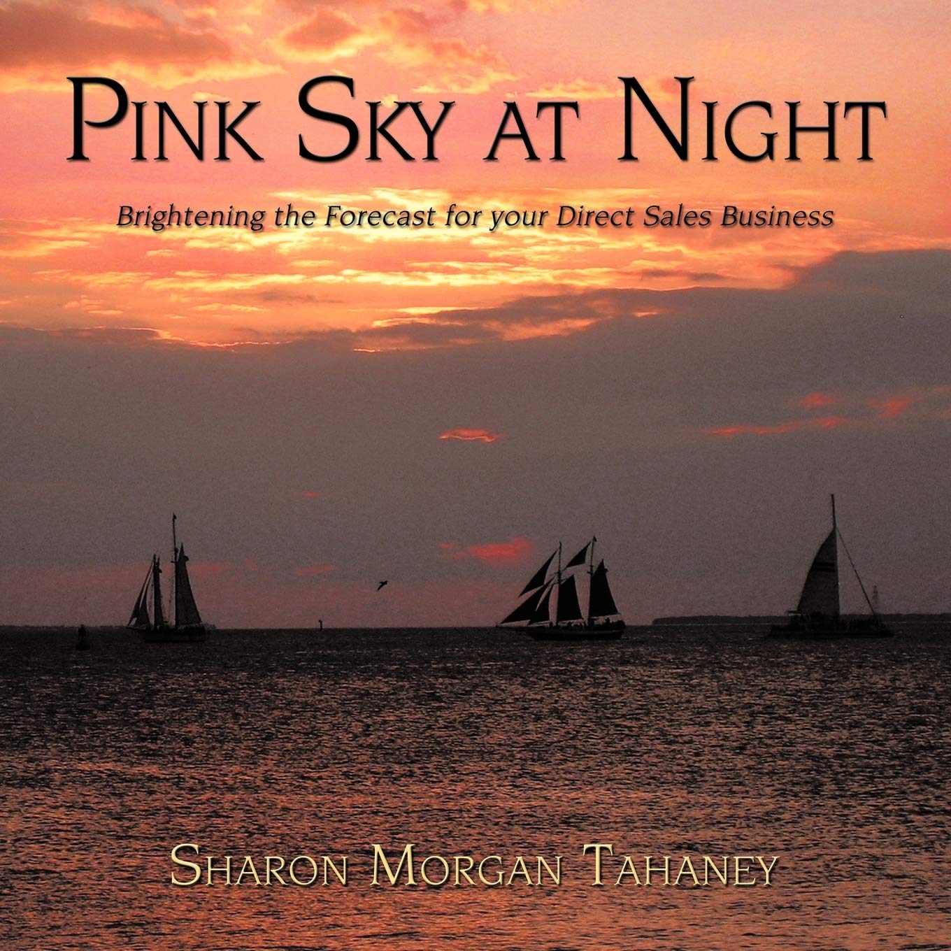 Pink Sky at Night: Brightening the Forecast for Your Direct Sales Business
