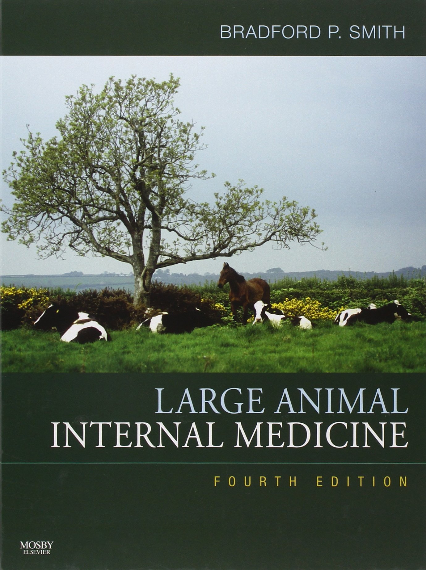 Large Animal Internal Medicine | Amazon.com.br