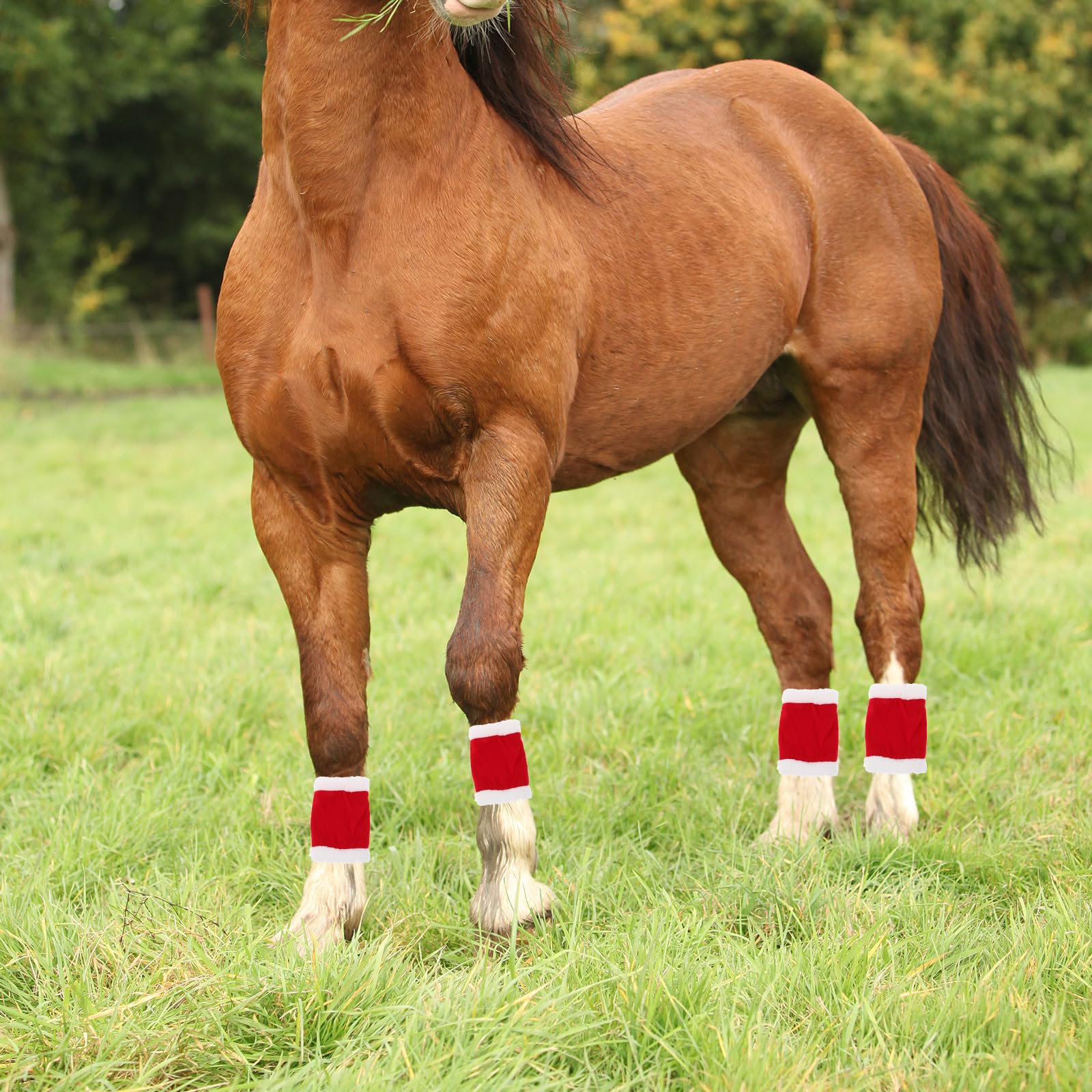 Toyvian Set de Accesorios para Disfraz de Caballo Navideño en Terciopelo Rojo Protectores de Patas, Sistema de Hebillas, Fácil Instalación para Ambientación de Fiestas de Navidad