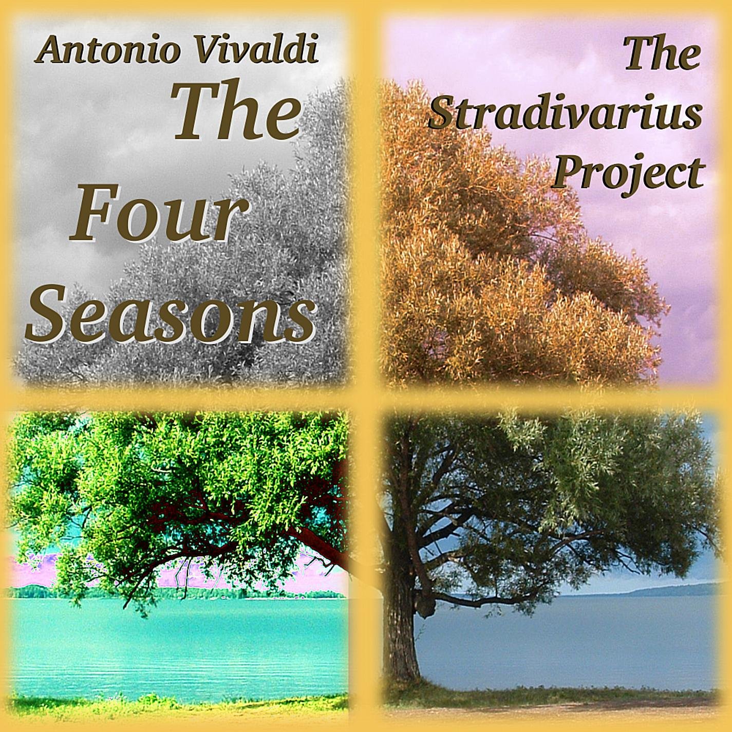 The Stradivarius Project