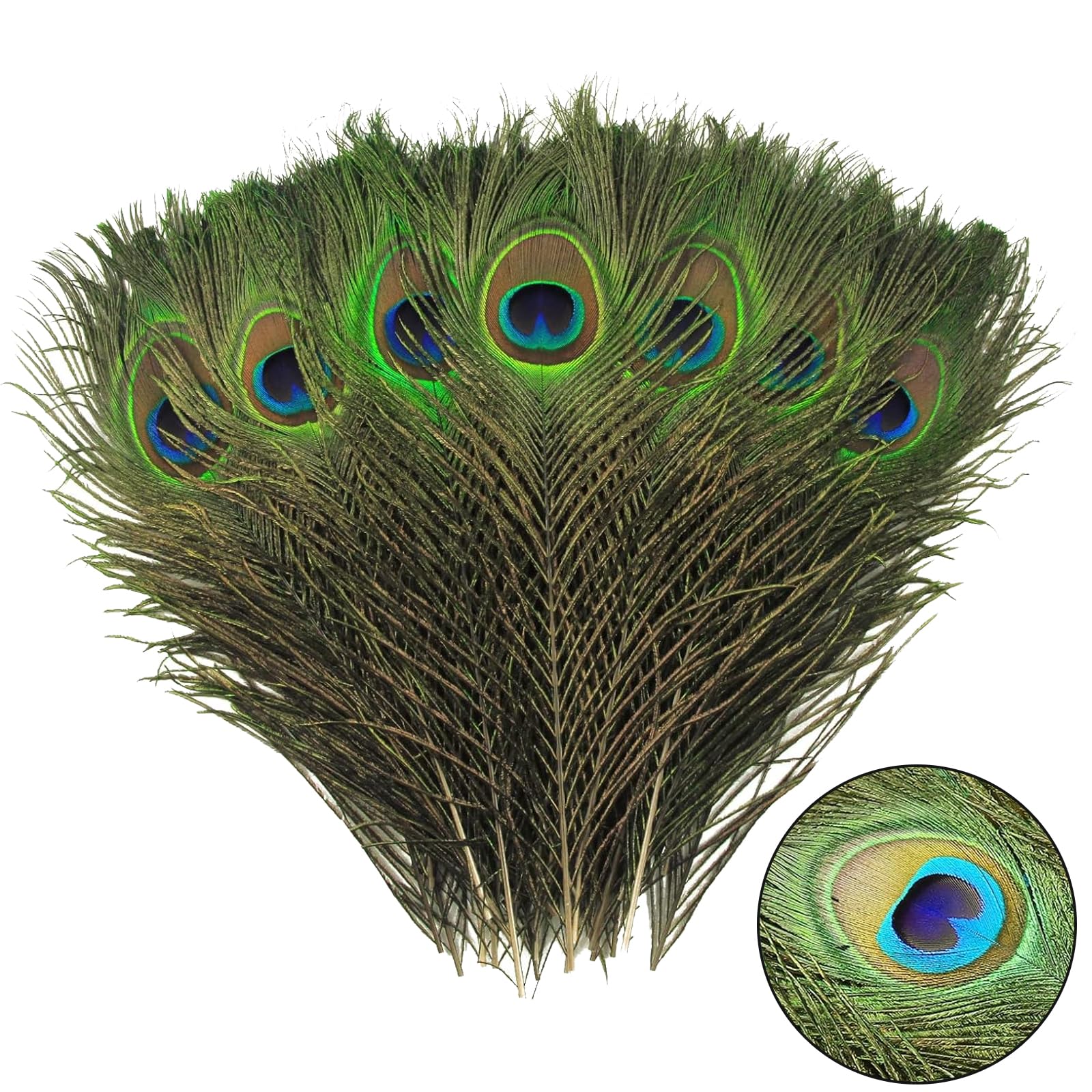 YFHUVB 15Pcs Peacock Feathers, Natural Large Feathers Peacock Feathers Long, Peacock Tail Feather for Wedding, Vase, Christmas Party Decoration, Peacock Costume, DIY Art & Craft