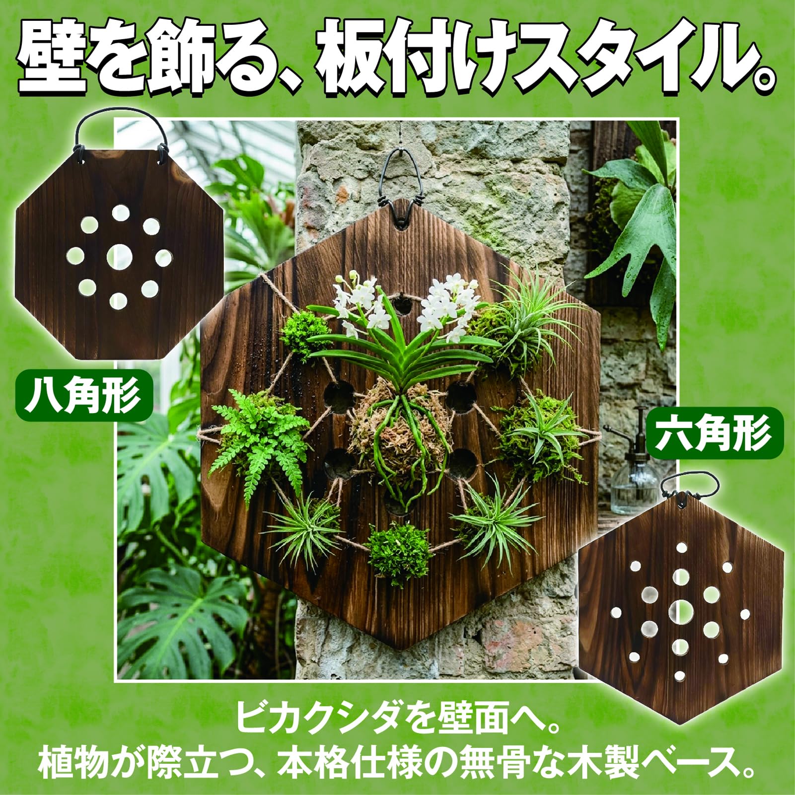 Amazon.co.jp: TENOABLE 着生板 コウモリラン ビカクシダ 炭化加工 穴