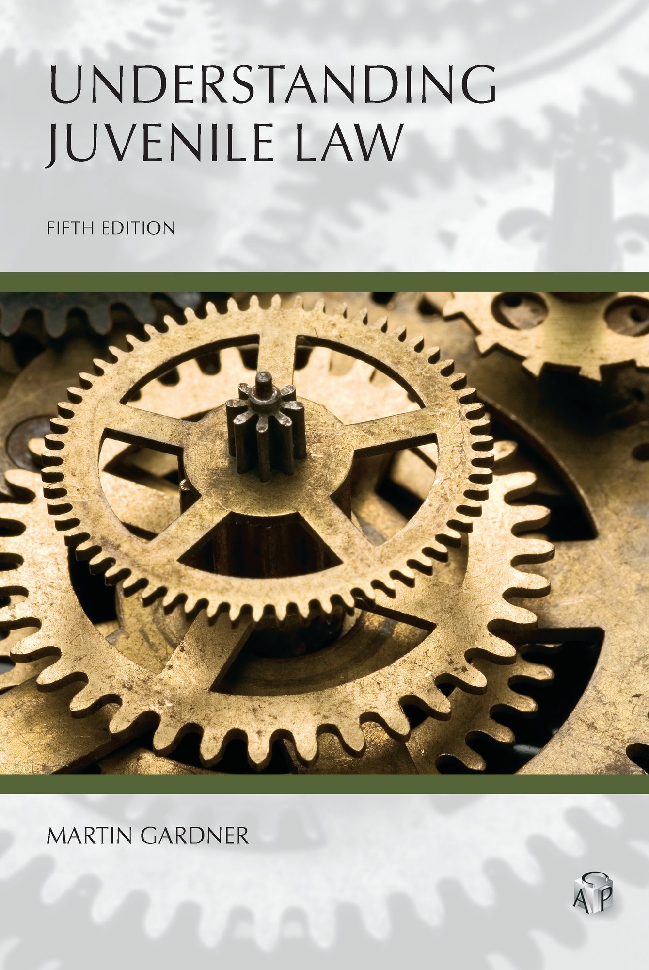 Understanding Juvenile Law, Fifth Edition