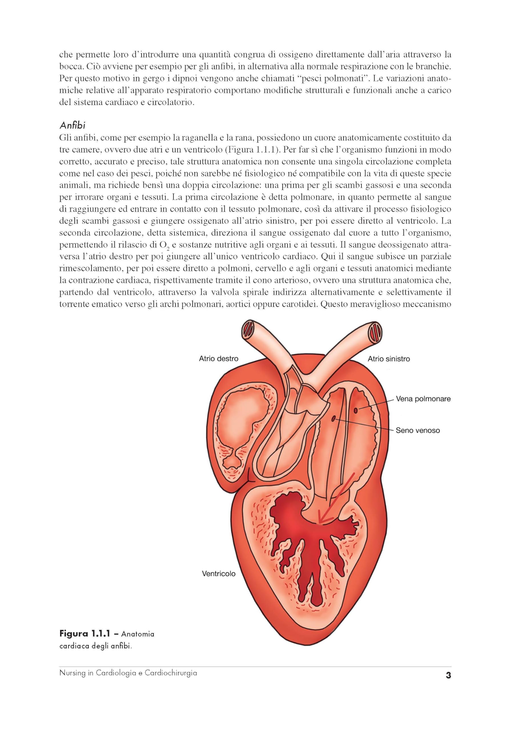 Nursing in cardiologia e cardiochirurgia. Evidenze scientifiche, approccio metodologico clinico e applicato