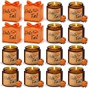 fall candles bulk Top3商品