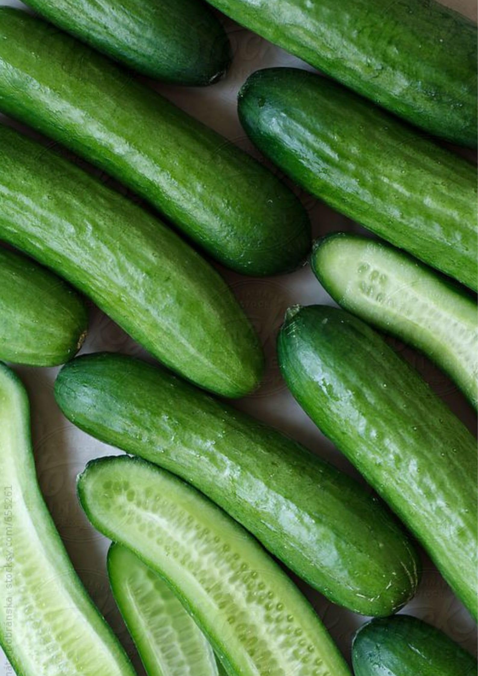 Gebdinsh Garden® Imported Cucumber Vegetables Seeds For Kitchen Gardening (Pack Of 2 Gram Seeds) (B0D4973RY7) Amazon Price History, Amazon Price Tracker