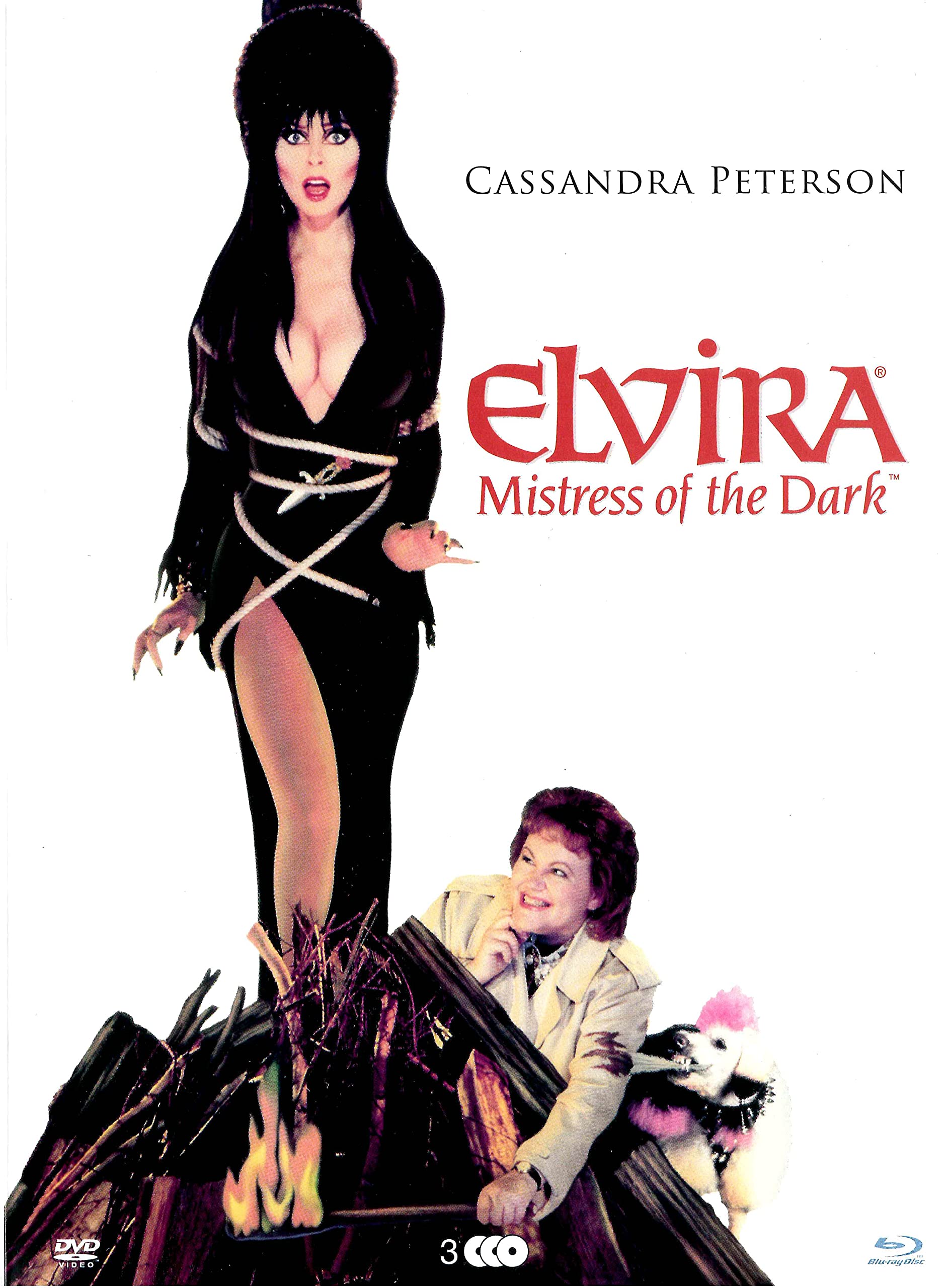 Elvira: Herrin Der Dunkelheit – NEUE Blu-ray, Reg Produktbild-Vorschau 10