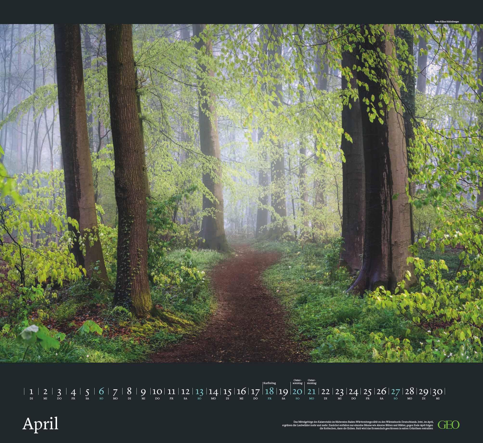 GEO - Sehnsucht Wald Wandkalender 2025 - Eindrucksvoller Waldlandschaften Kalender, Harmonisches Format 60x55 cm, mit Faszinierenden Wald- und Naturbildern