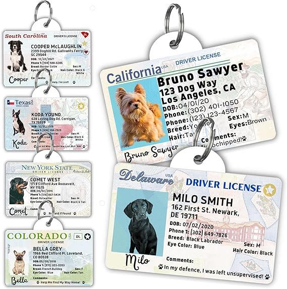 Driver License Custom Dog Tag for Pets and Wallet Card Dog Tags for Dogs Dog ID