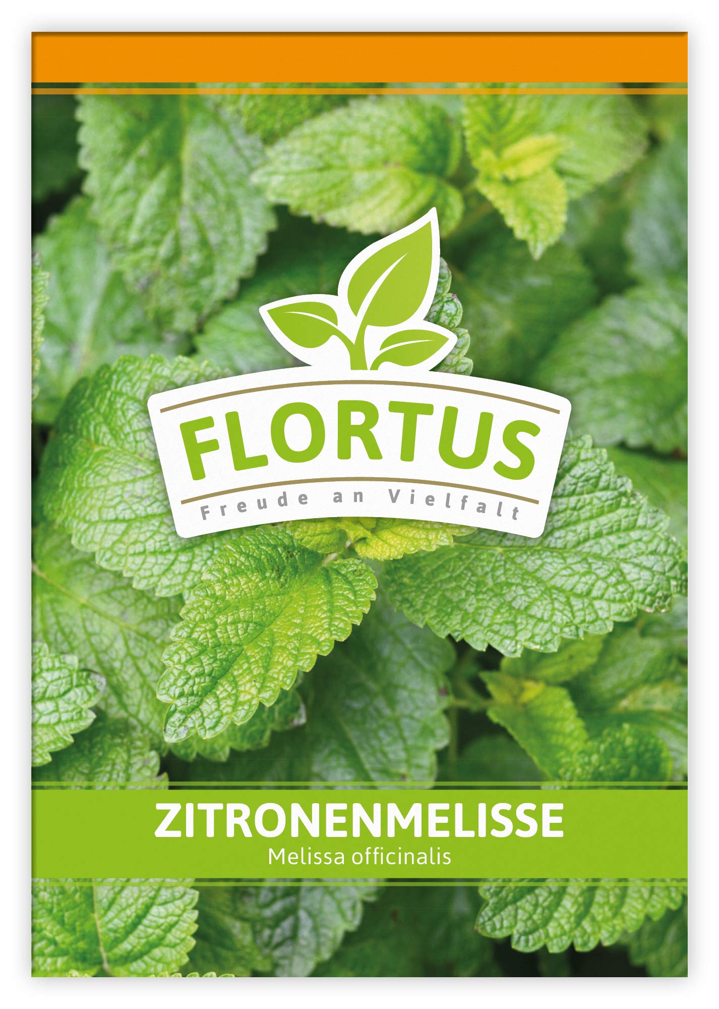 FLORTUS 2000-0060-100x Zitronenmelisse (100 Tütchen) (Melissensamen)