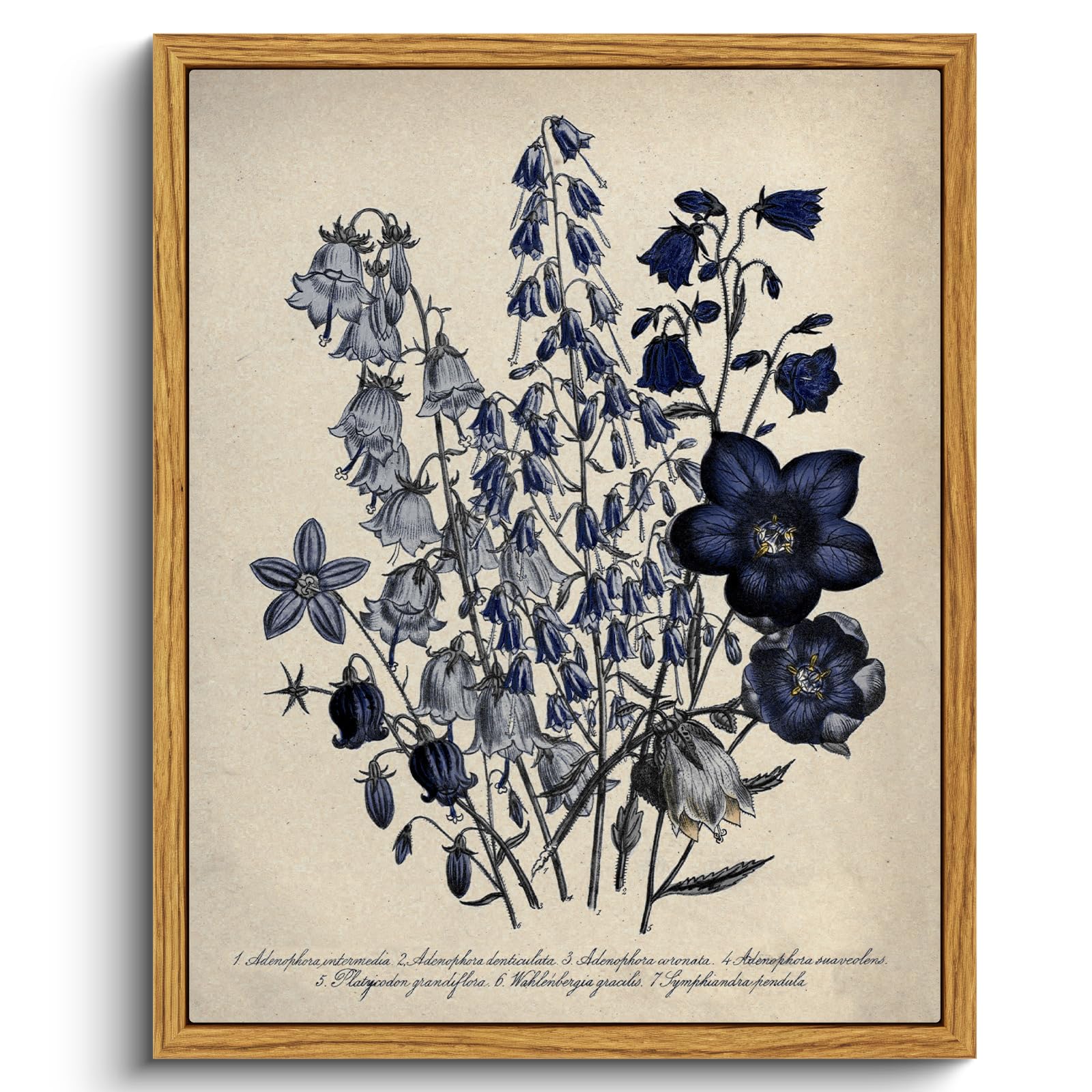 VIYYIEA Vintage Framed Botanical Wall Art 8x10