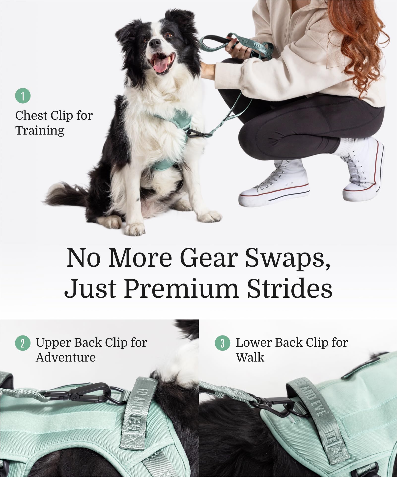 2026 New Edition, Fei & Eve MagEase Dog Harness - 3-Second Magnetic Buckles | 3-Point No-Pull Control | Heavy-Duty 900D Nylon | Dual Safety Handles | Breathable Mesh | Adjustable Fit | Large, Green - image 3