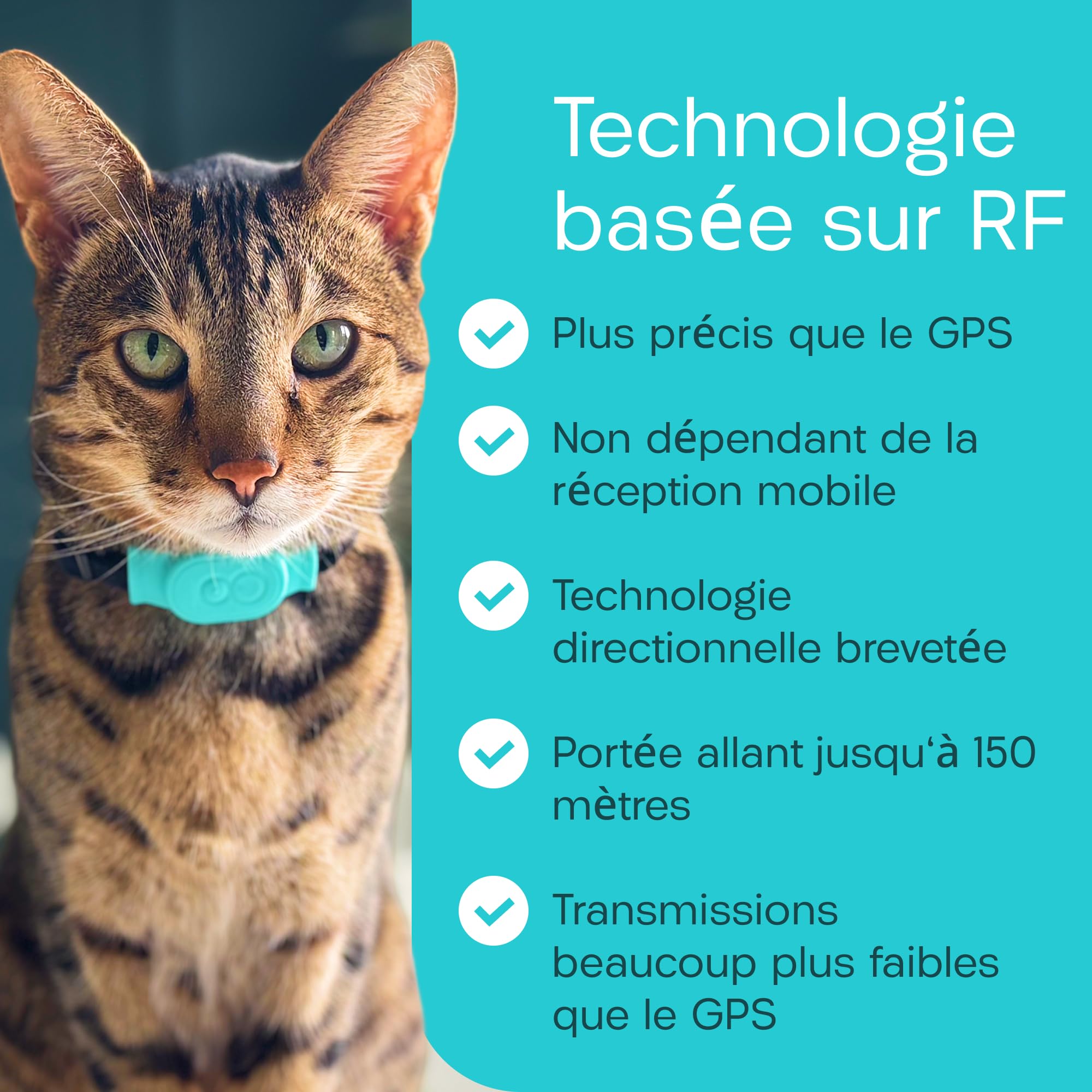 Traceur Tabcat V2 pour chats et chatons - Sans abonnement mensuel | 2 balises de localisation légères, étuis et boîtier de suivi | Plus précis que le GPS | Suivi de 2 chats à 2,5 cm et portée de 150 m