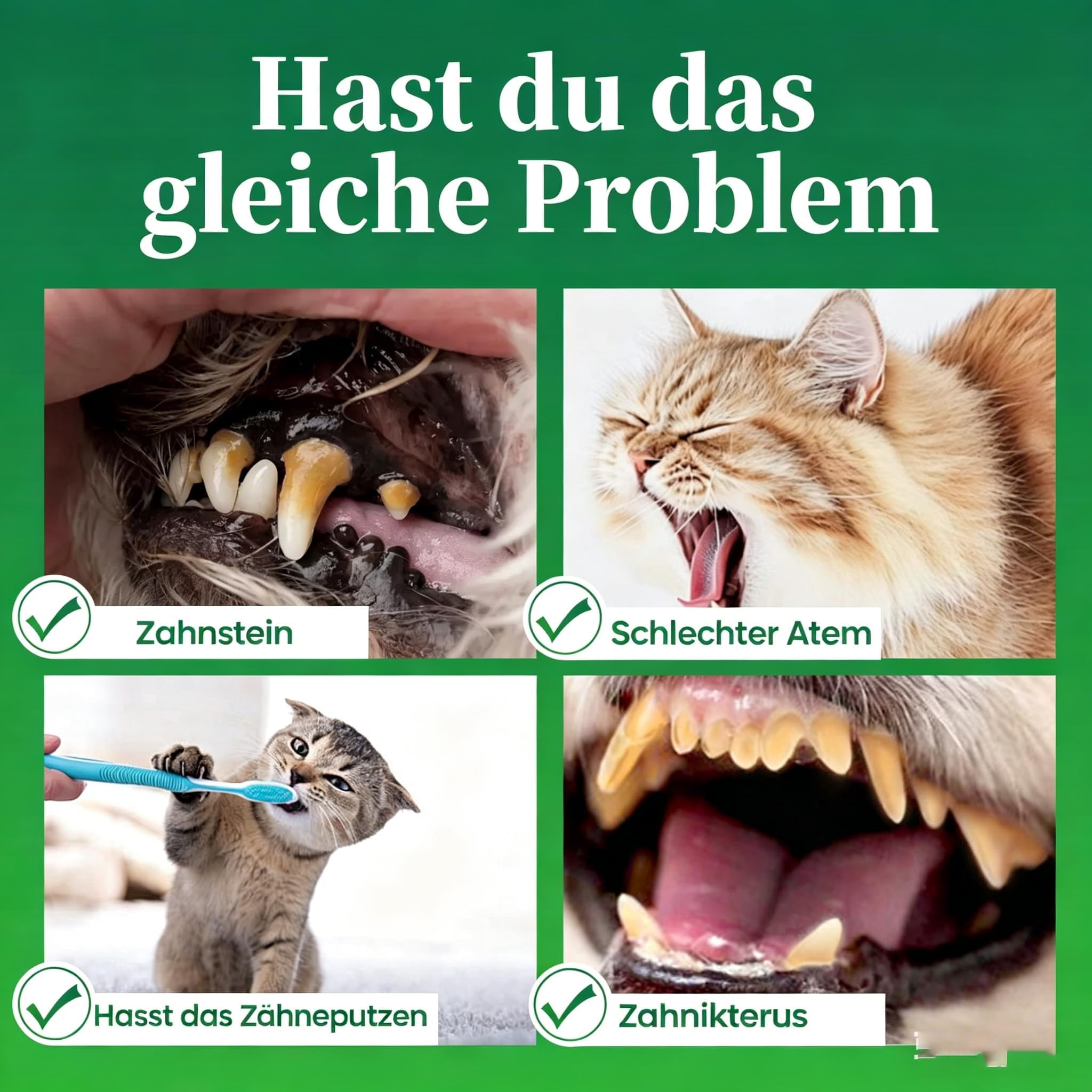 Mydelia - Hundezahn-Pulver Hundezahnpulver – Natürliche, effektive Formel für frischen Atem, sanfte Zahnpflege, tragbares Pulver, sicherer Mix, Hundepflegezubehör