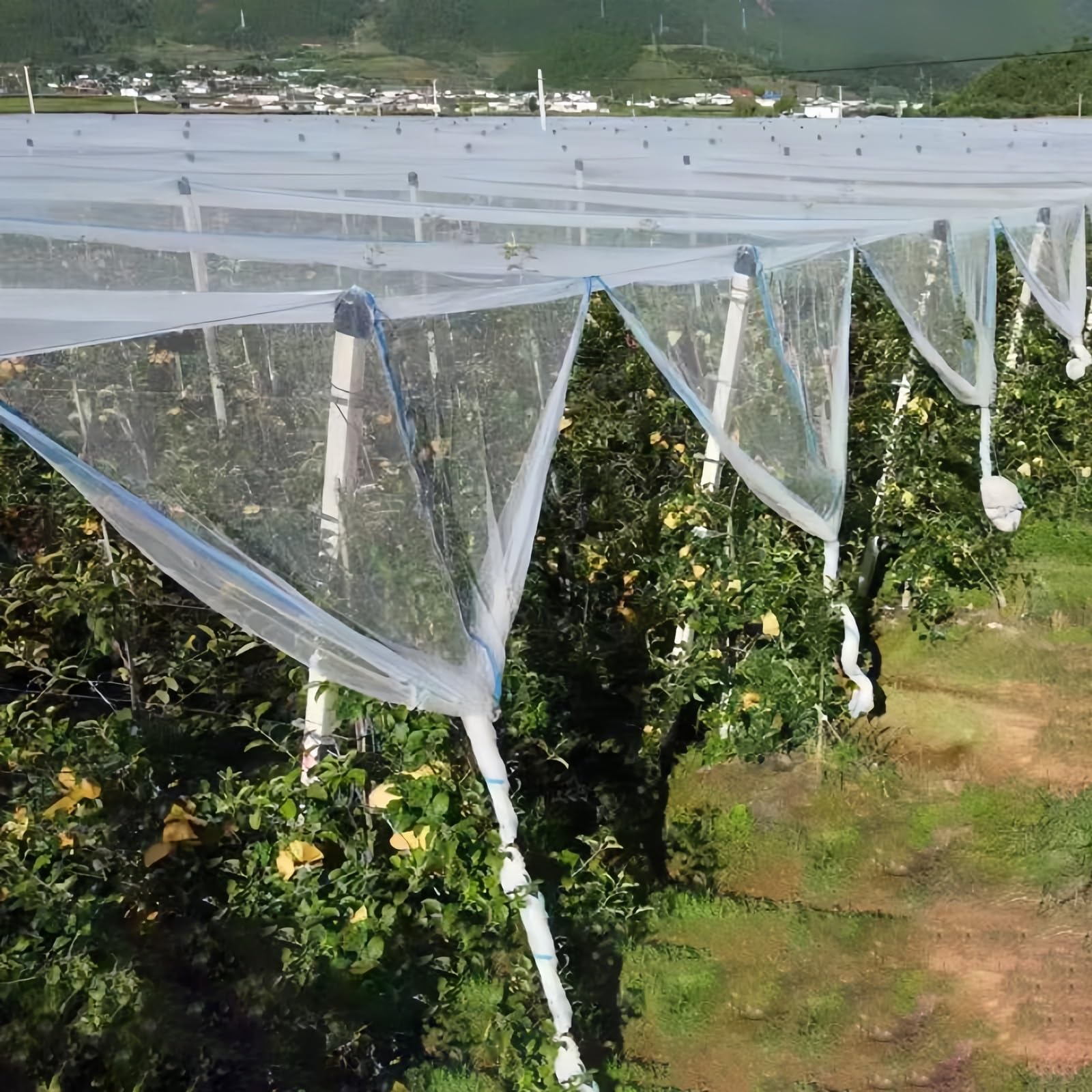 Rete anti uccelli per piante da giardino e serra, maglia fine protegge frutta, verdura, fiori, stagno, multipla