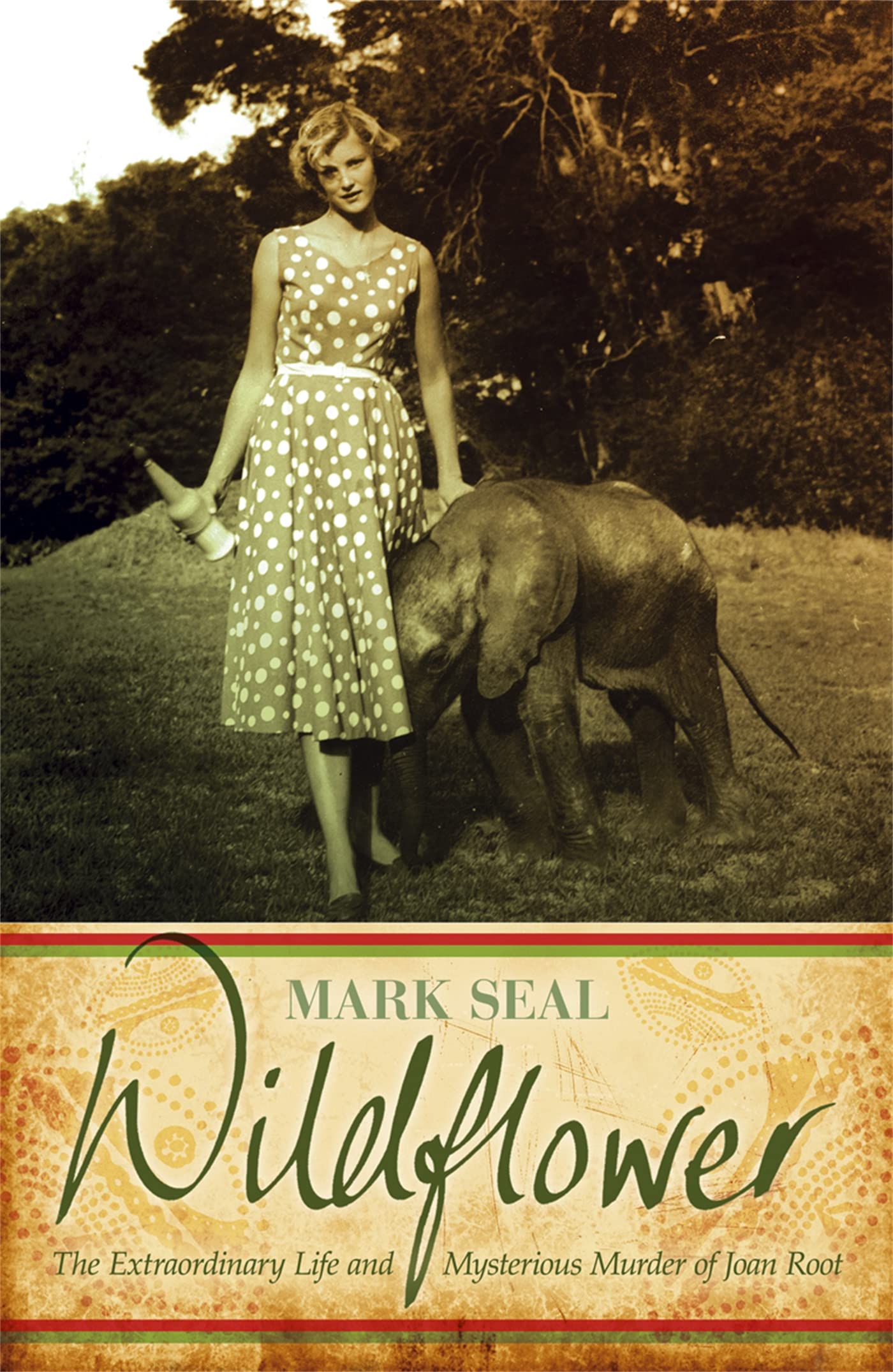 Wildflower: The Extraordinary Life and Mysterious Murder of Jo .