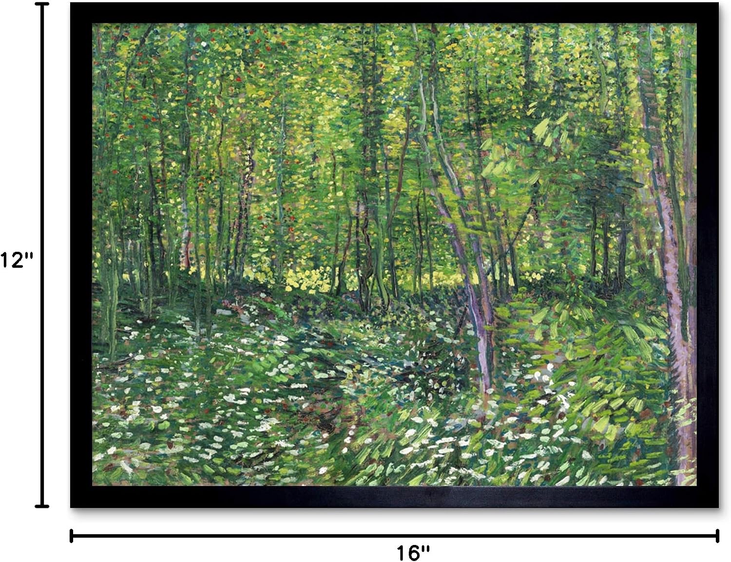 Vincent Van Gogh Trees And Undergrowth Art Print Framed Poster Wall Decor 12x16 inch