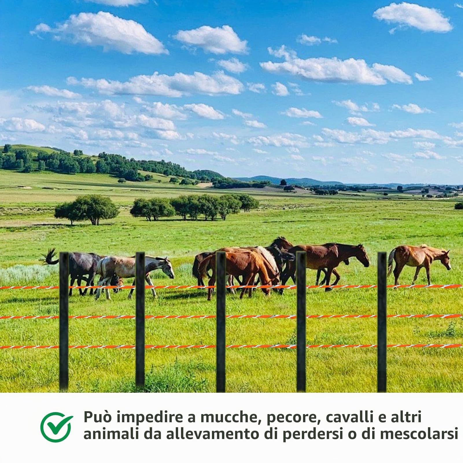 1000M Corda per Recinzioni Elettriche | Recinzione di Filo Per Bestiame In Acciaio Inox Corda,Con elevata Conduttività,per Bovini e Ovini,Cavalli, Bestiame