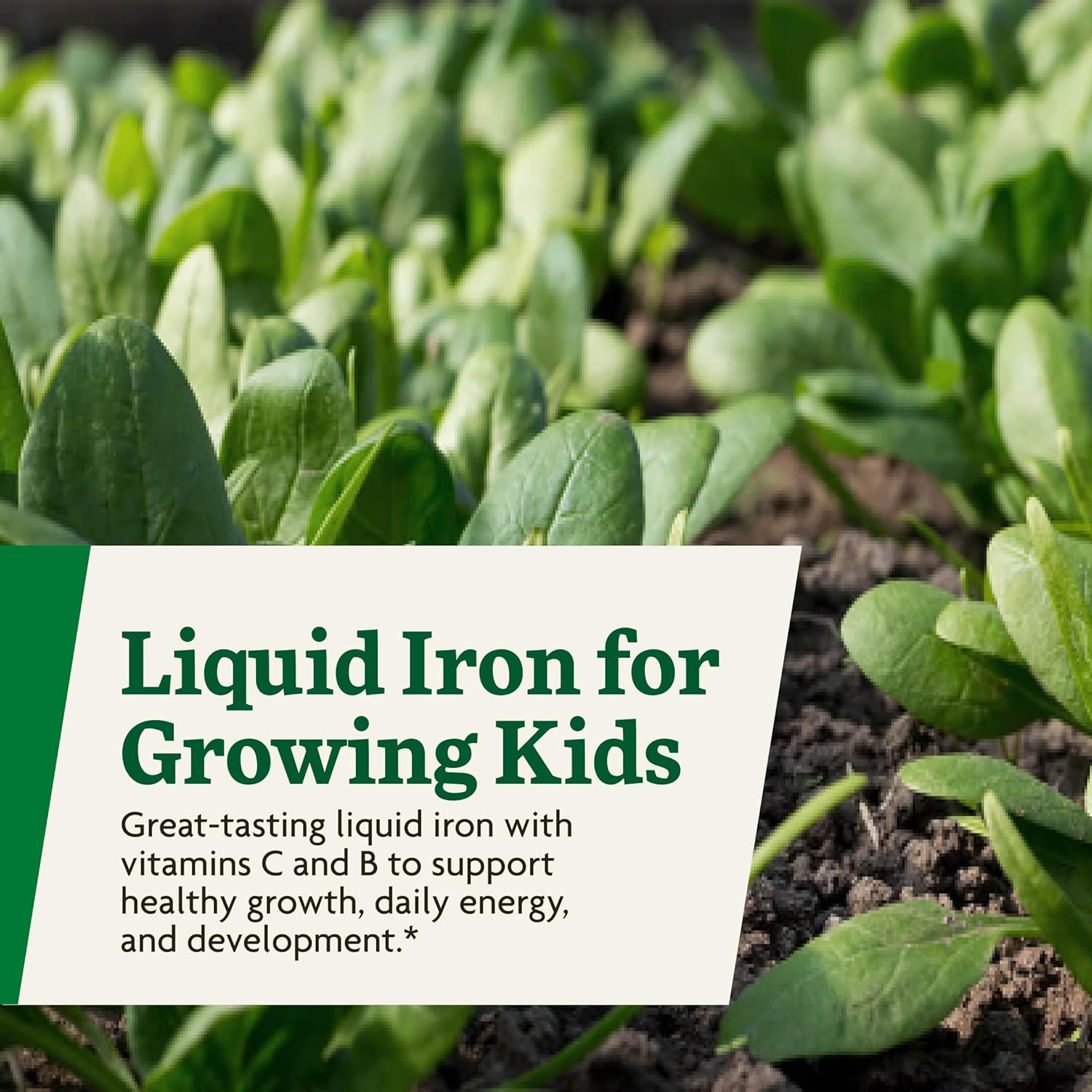Salus Floradix Iron Kids - Liquid Iron & Vitamin Formula - Children's Supplement with C & B Vitamins - Vegan - Raspberry-Vanilla Flavor - 8.5 fl oz