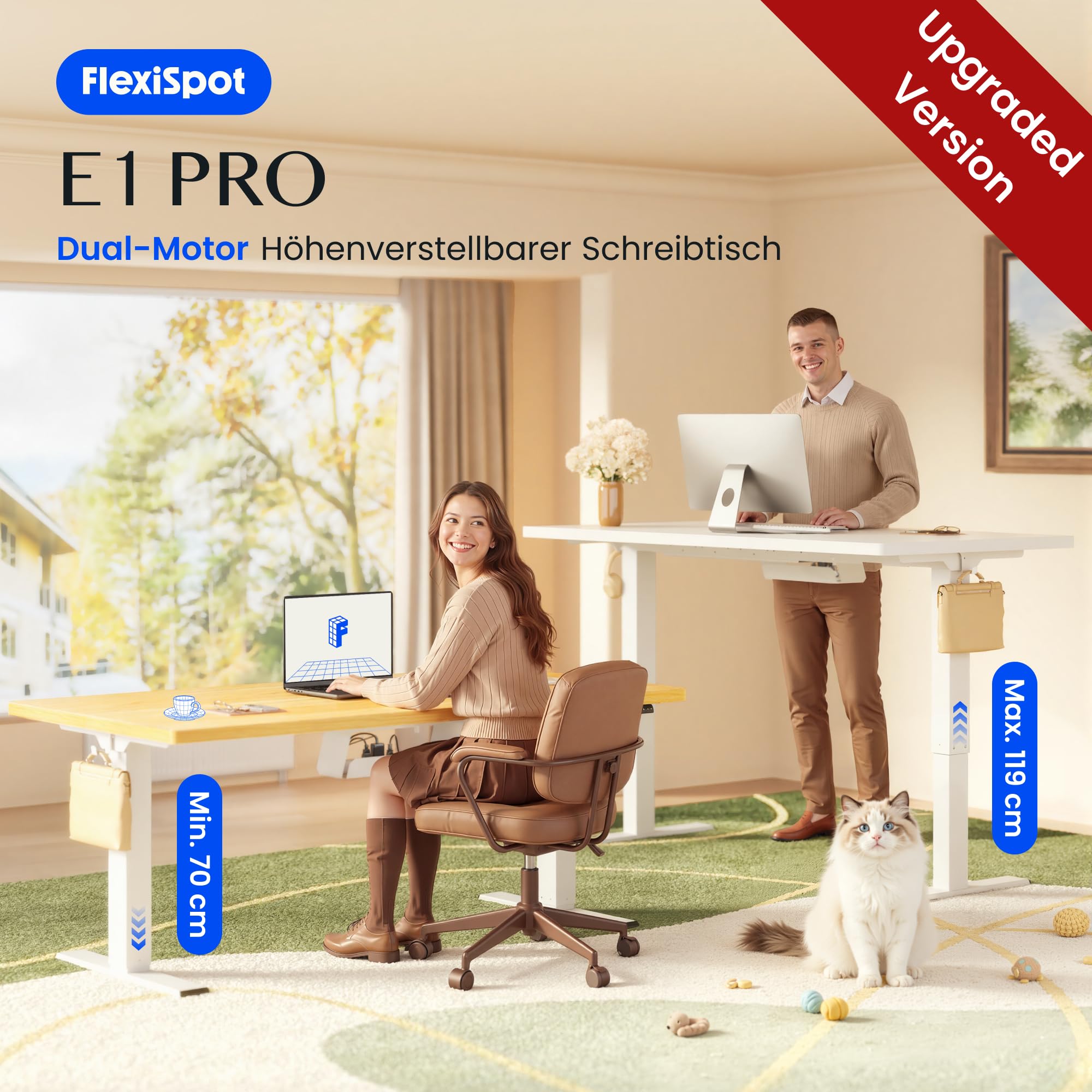 FLEXISPOT Höhenverstellbarer Schreibtisch elektrisch, Doppelmotor 160x80 cm | 25 mm einteilige Tischplatte, Kabelmanagement&Memory-Funktion, ergonomischer Büro-&Computertisch, elektrisch höhenverstellbar