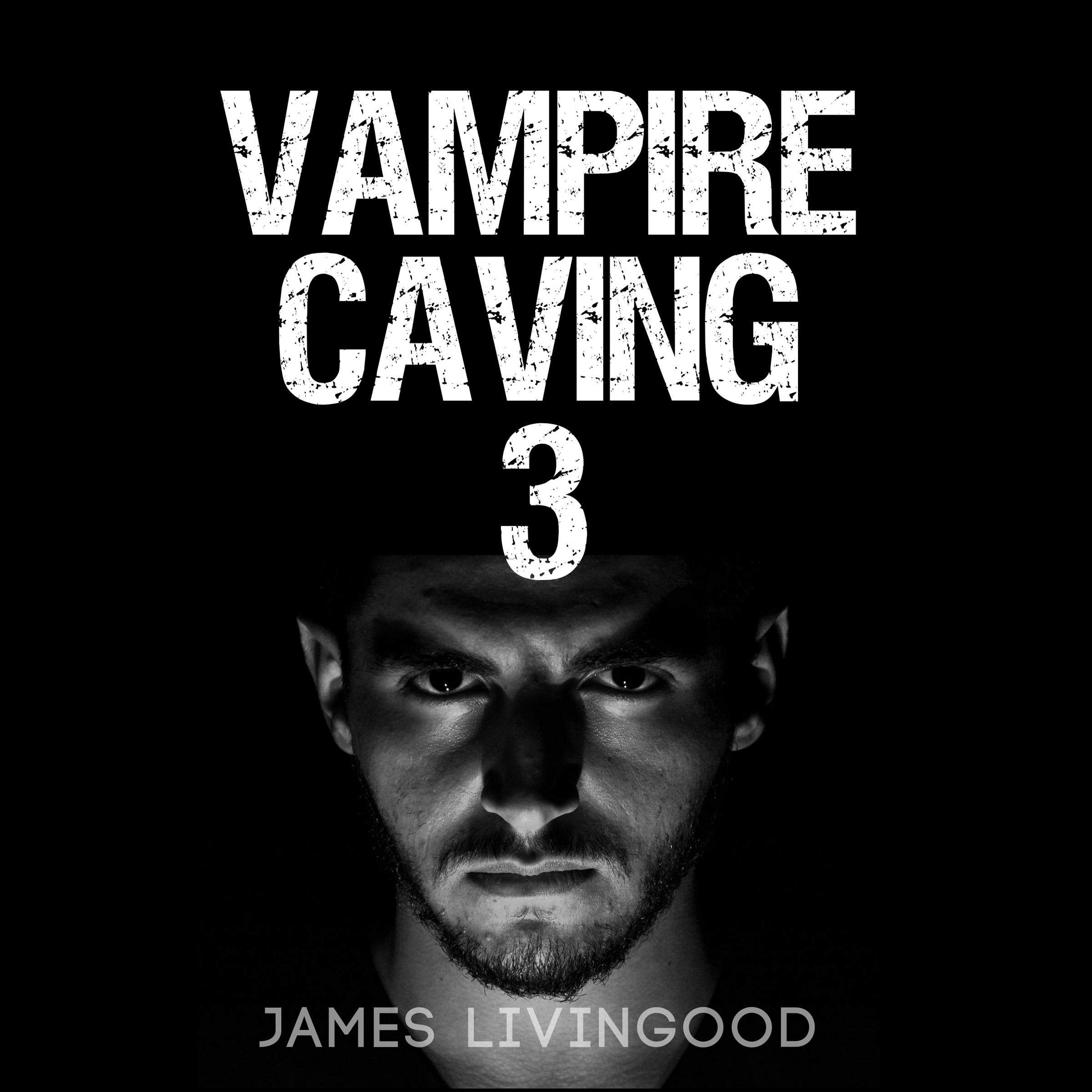 Cover art for Vampire Caving 3
