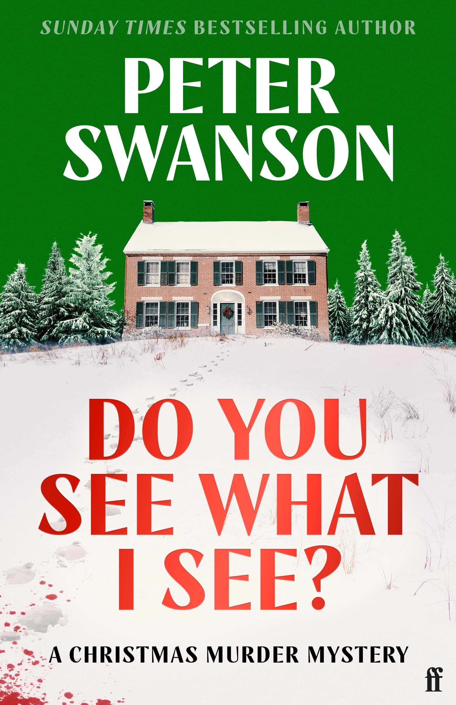 Do You See What I See?: A Christmas Murder Mystery