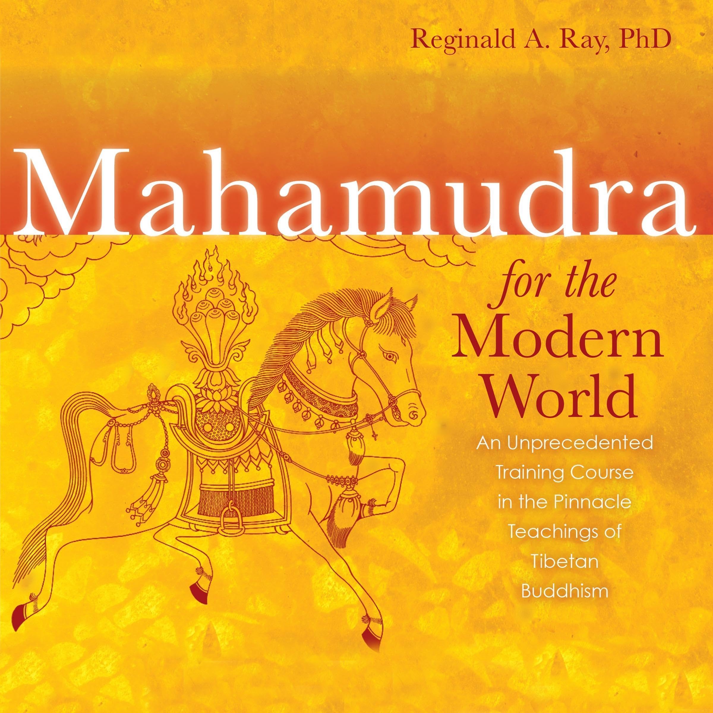Cover art for Mahamudra for the Modern World