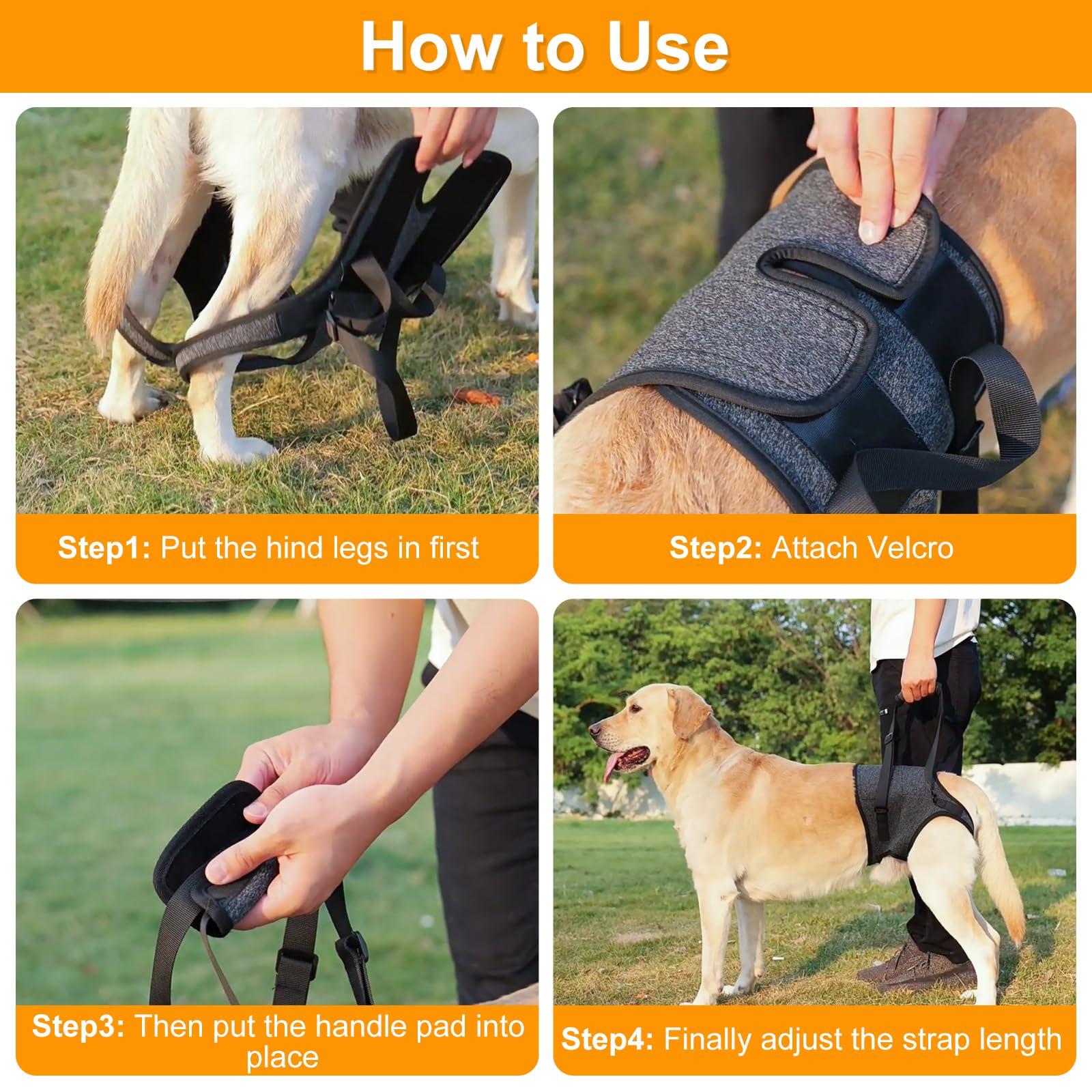 Dog Lifting Harness,Dog Support Harness Slings for Back Legs,Adjustable Assistance Support Strap for Injured,Disabled,Elderly Dogs (M) - Image 4