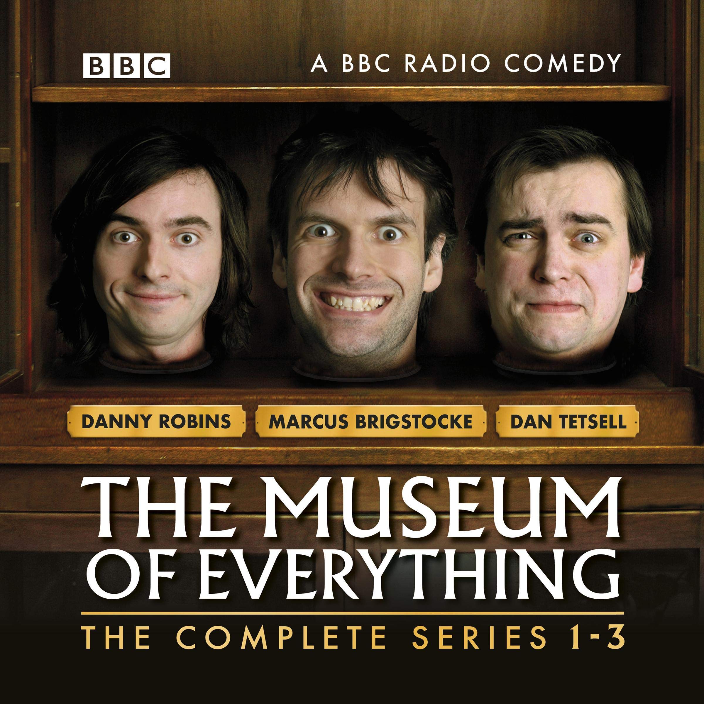 Cover art for The Museum of Everything