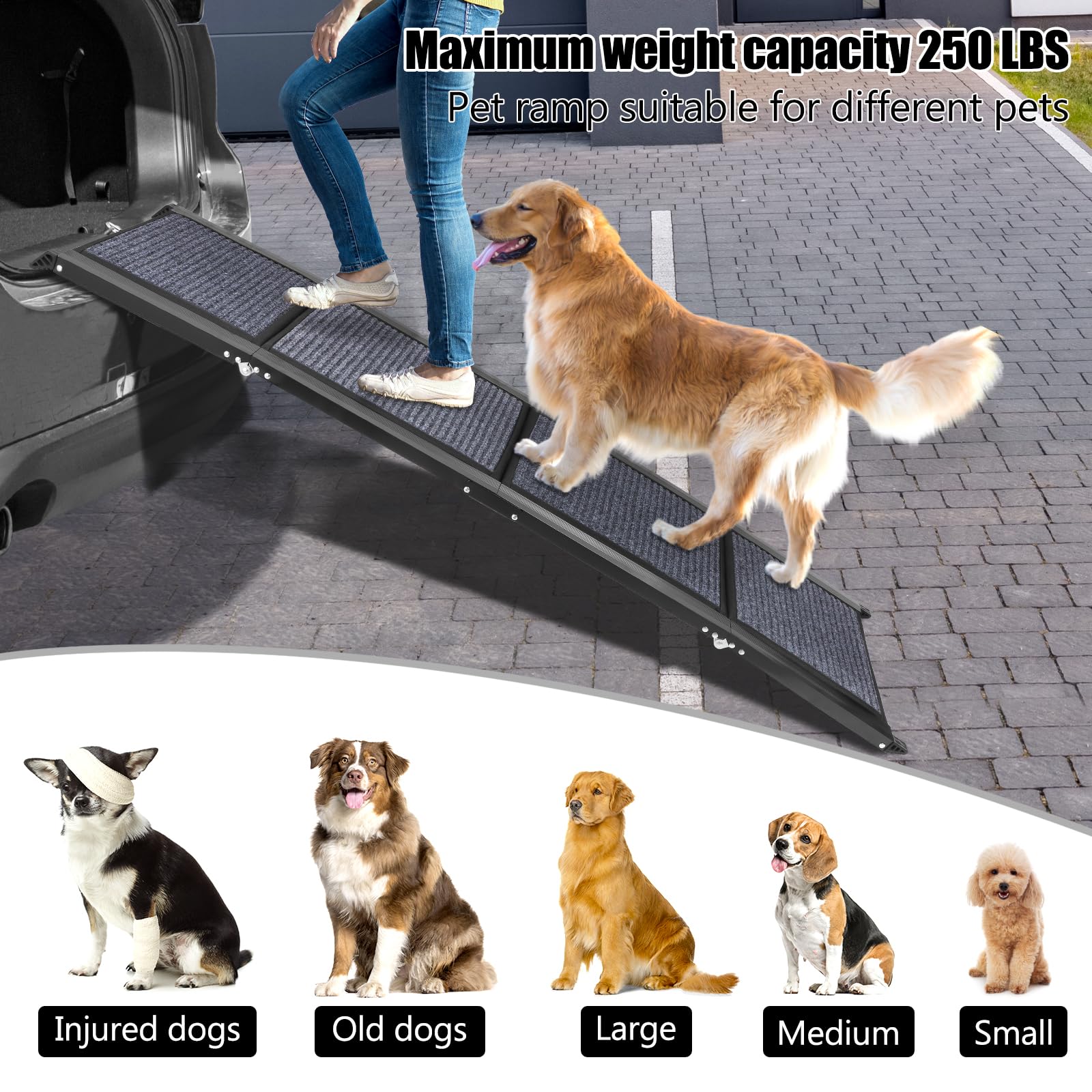 Rampe portable pour voiture 160 cm largeur 44 cm avec surface antidérapante pour chiens taille moyenne et grande