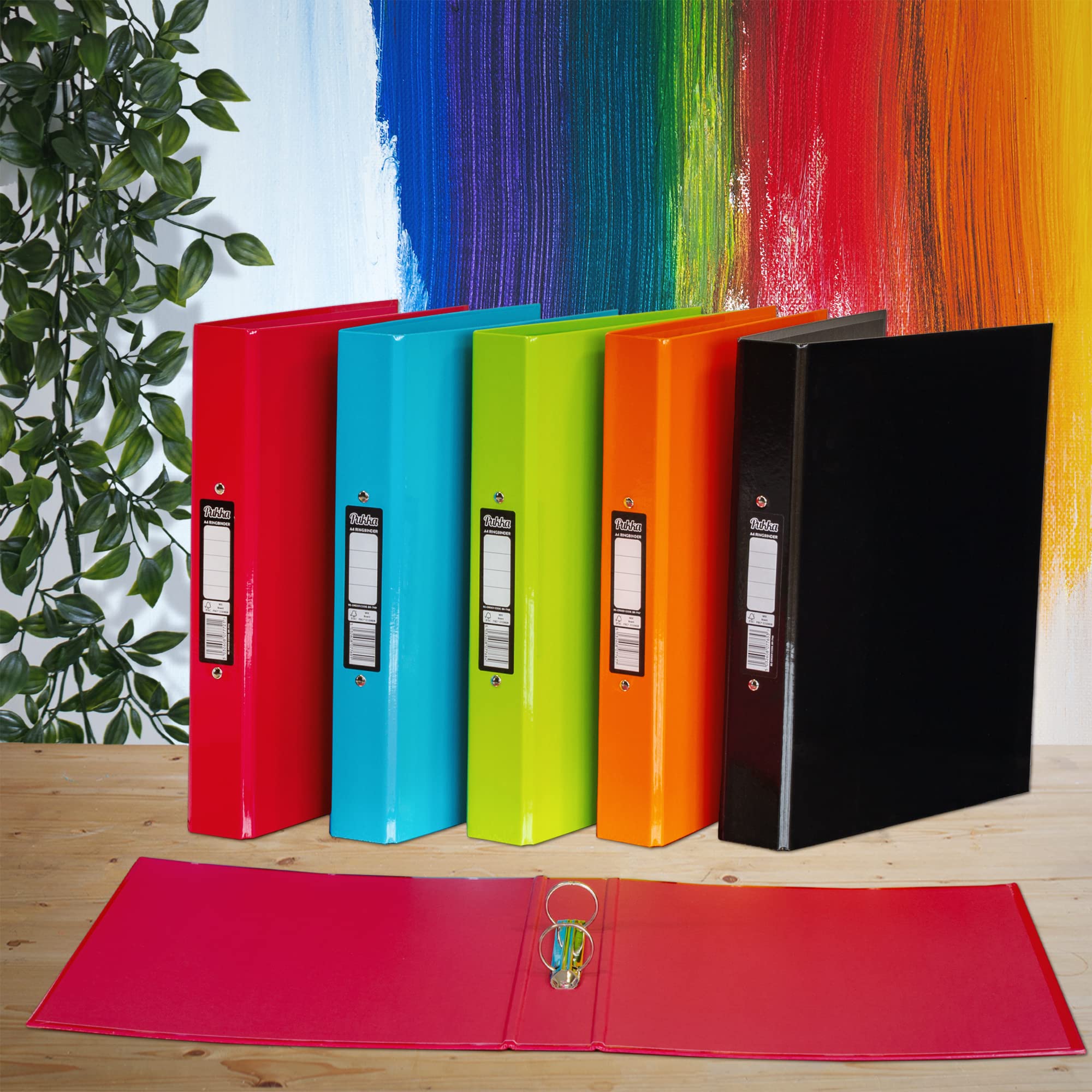 Pukka Pad, Brights A4 Ringbinder Files with 2 O-Ring Mechanism