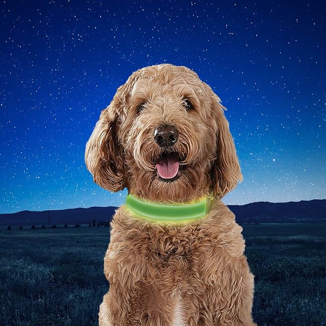 Foto 5 de 7 de Nite Ize NiteDog - Collar LED Recargable - Collar de Perro Iluminado con Hebilla de Metal Duradera