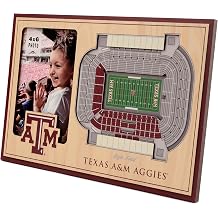 YouTheFan NCAA Officially-licensed 3D Stadium Picture Frame - perfect stadium replica - add 4 x 6 photo - made of multiple layers - ready to hang or display