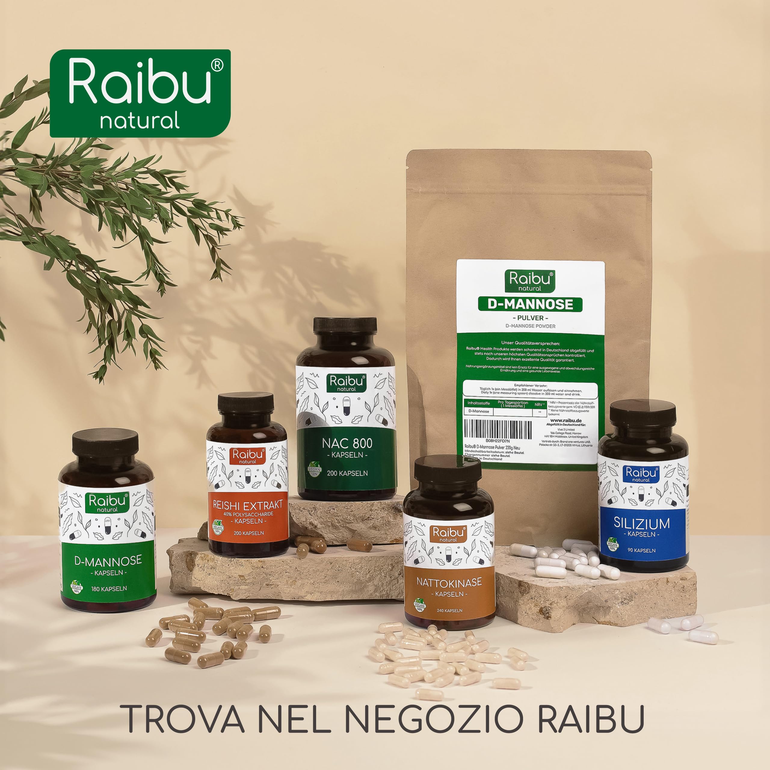 NAC N-Acetil-Cisteina 600mg - 200 capsule - 100% NATURALE - Vegano e senza additivi - Altamente dosato - Qualità Premium - Prodotte da Raibu