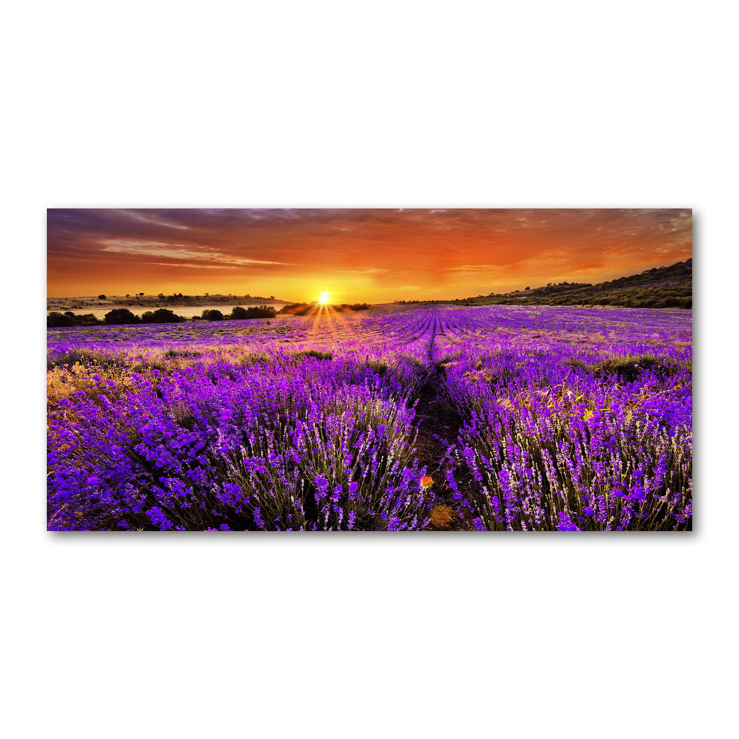 Tableau en verre acrylique Tulup 120x60 cm pour salon moderne