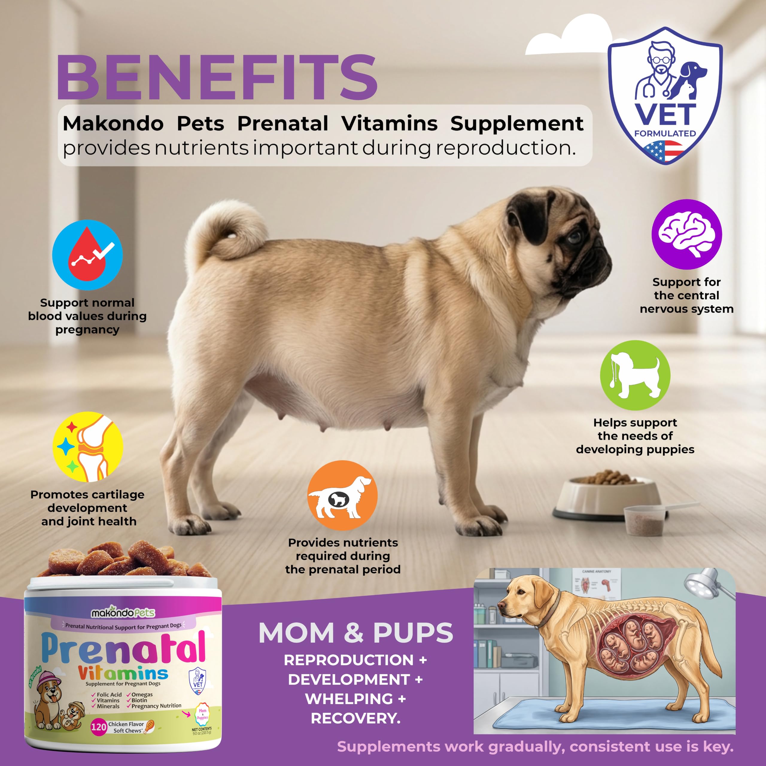 Dog Prenatal Vitamins, 120 Soft Chews Multivitamin, Mom & Puppy Vitamins — Amazon image 2