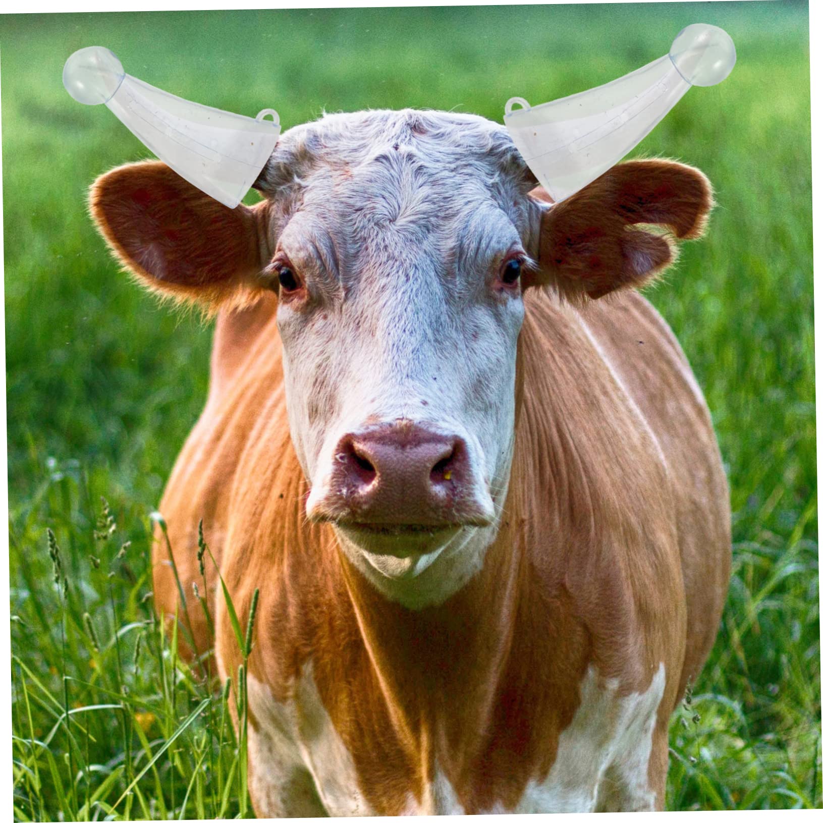 Hemobllo Protezione per Corna di Mucca in Silicone Resistente, Copertura Protettiva per Corno Bovino Design Ventilato, Set da 2 Paia per Uso Agricolo e Allevamento Ranch