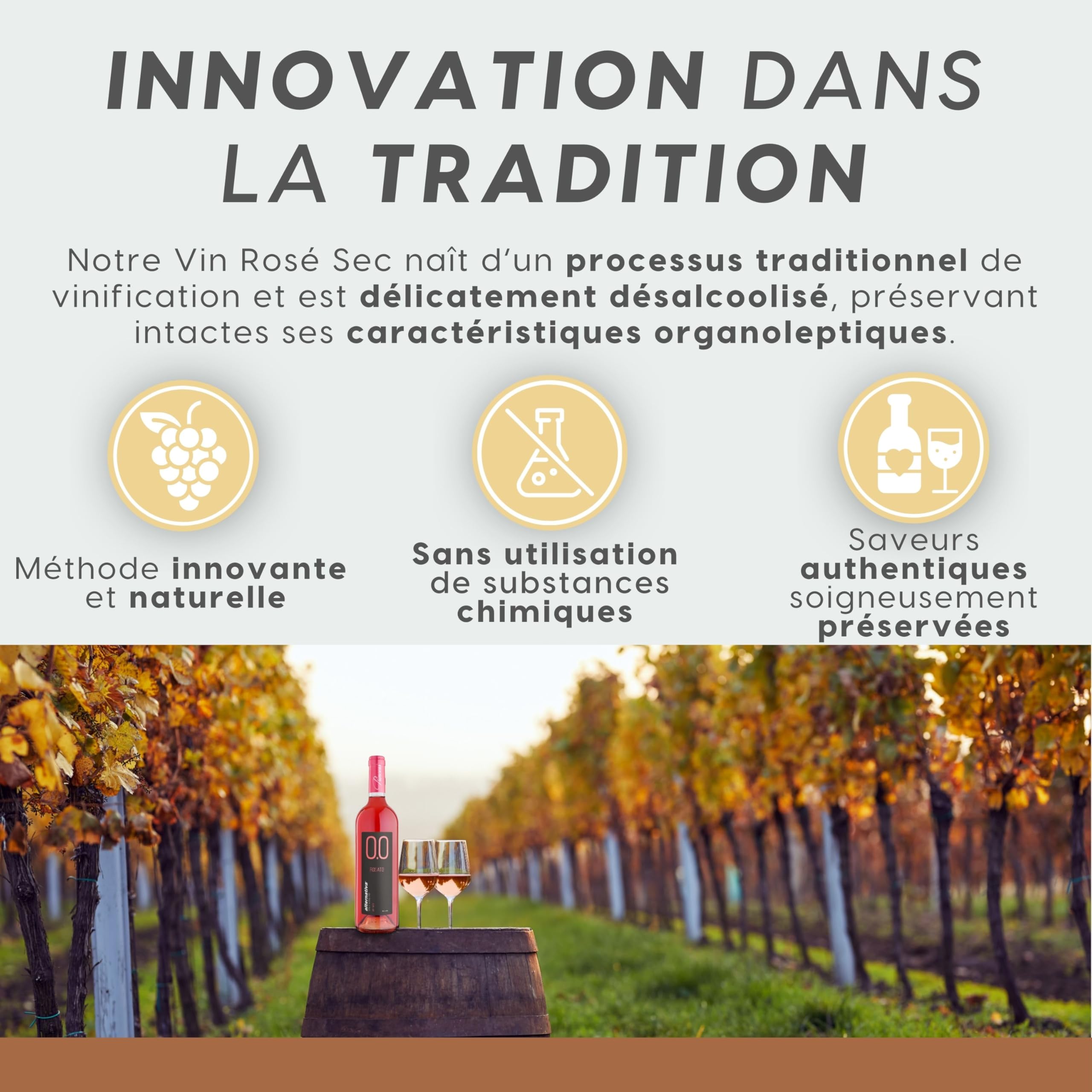 ALTERNATIVA Rosé Sec Sans Alcool 0.0% - Pack de 6 Bouteilles de 750 ml | Italien Désalcoolisé - Idéal pour Célébrations et Cadeaux