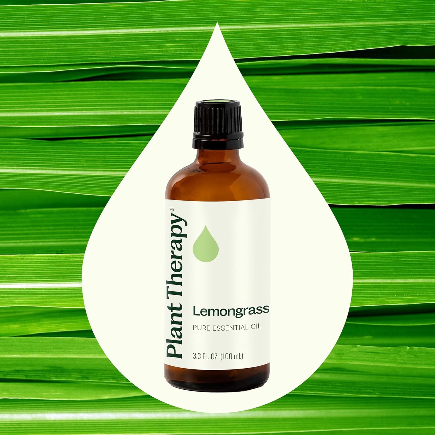 Plant Therapy Lemongrass Essential Oil 100 mL (3.3 oz), 100% Pure, Undiluted, Aromatherapy, Deodorizing, and Immune Support - Image 3