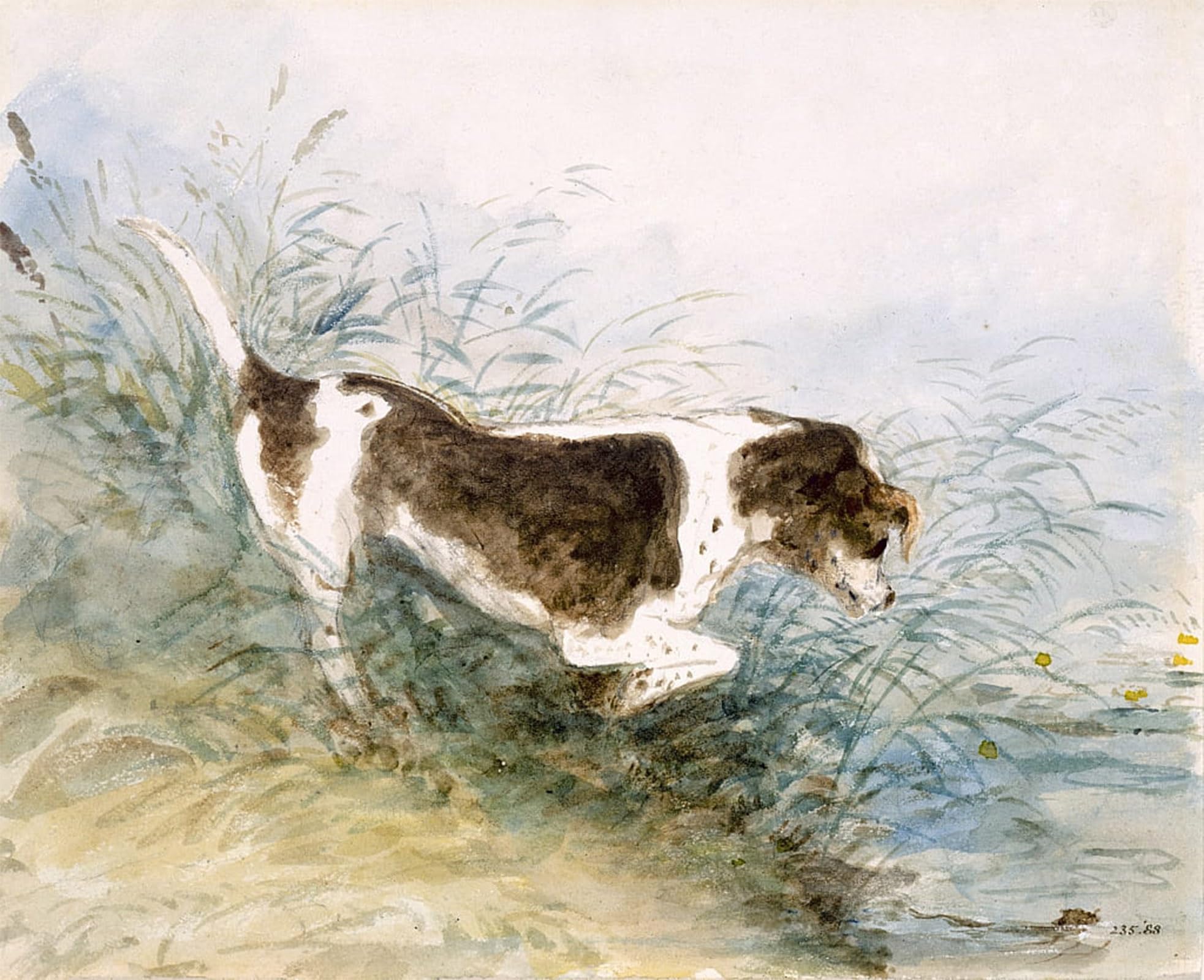 Tableau sur toile chien Constable 60x90cm pour masquer un mur vide - 5