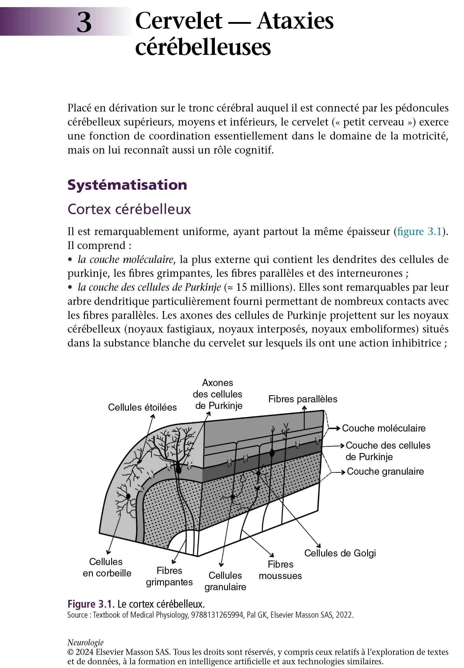 Neurologie