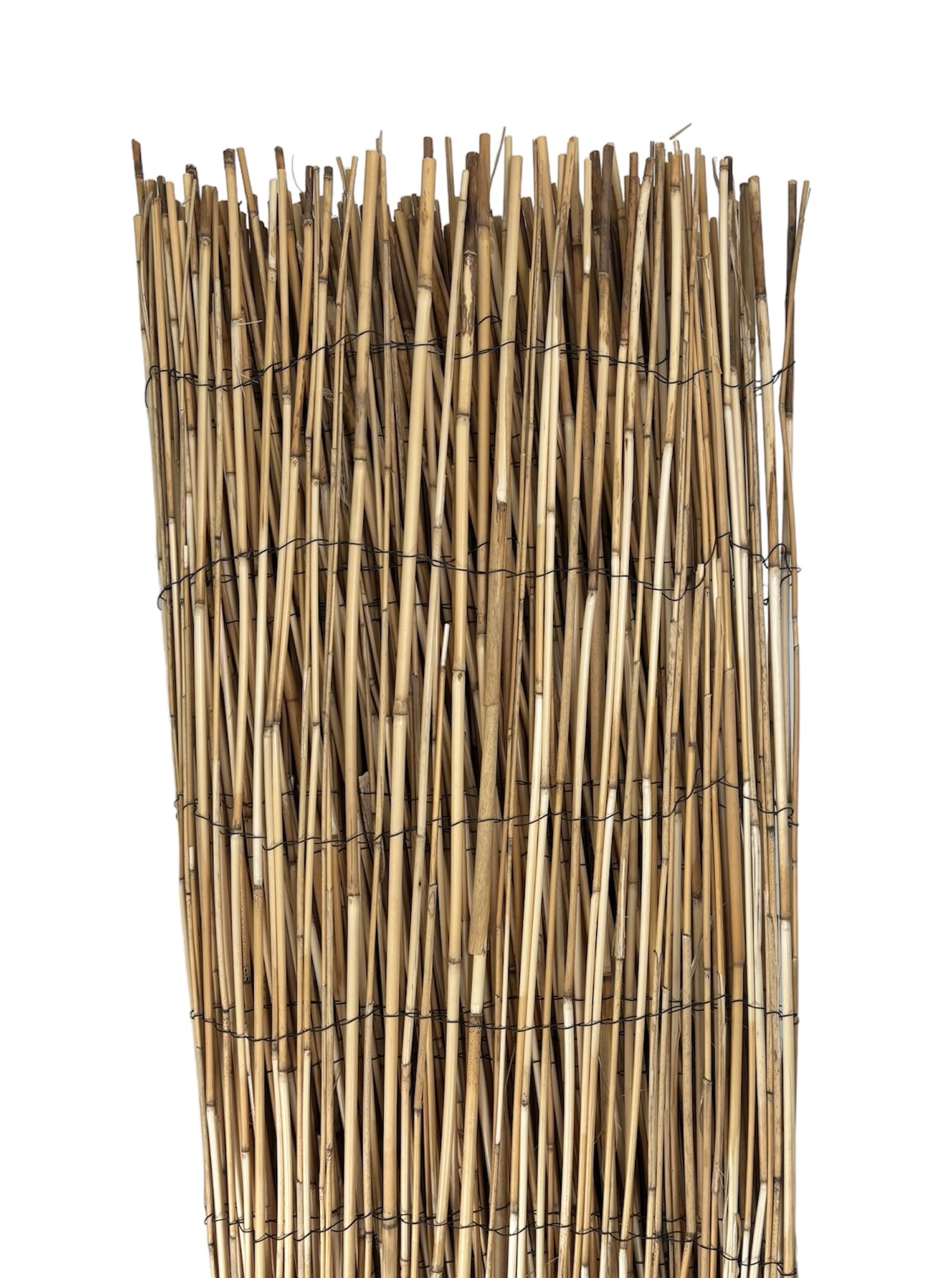 Arella Bamboo da Esterno Copri Ringhiera Recinzione Bambù Naturale Giardino Frangivista Ornamentale Balcone Misura 1x5 metri