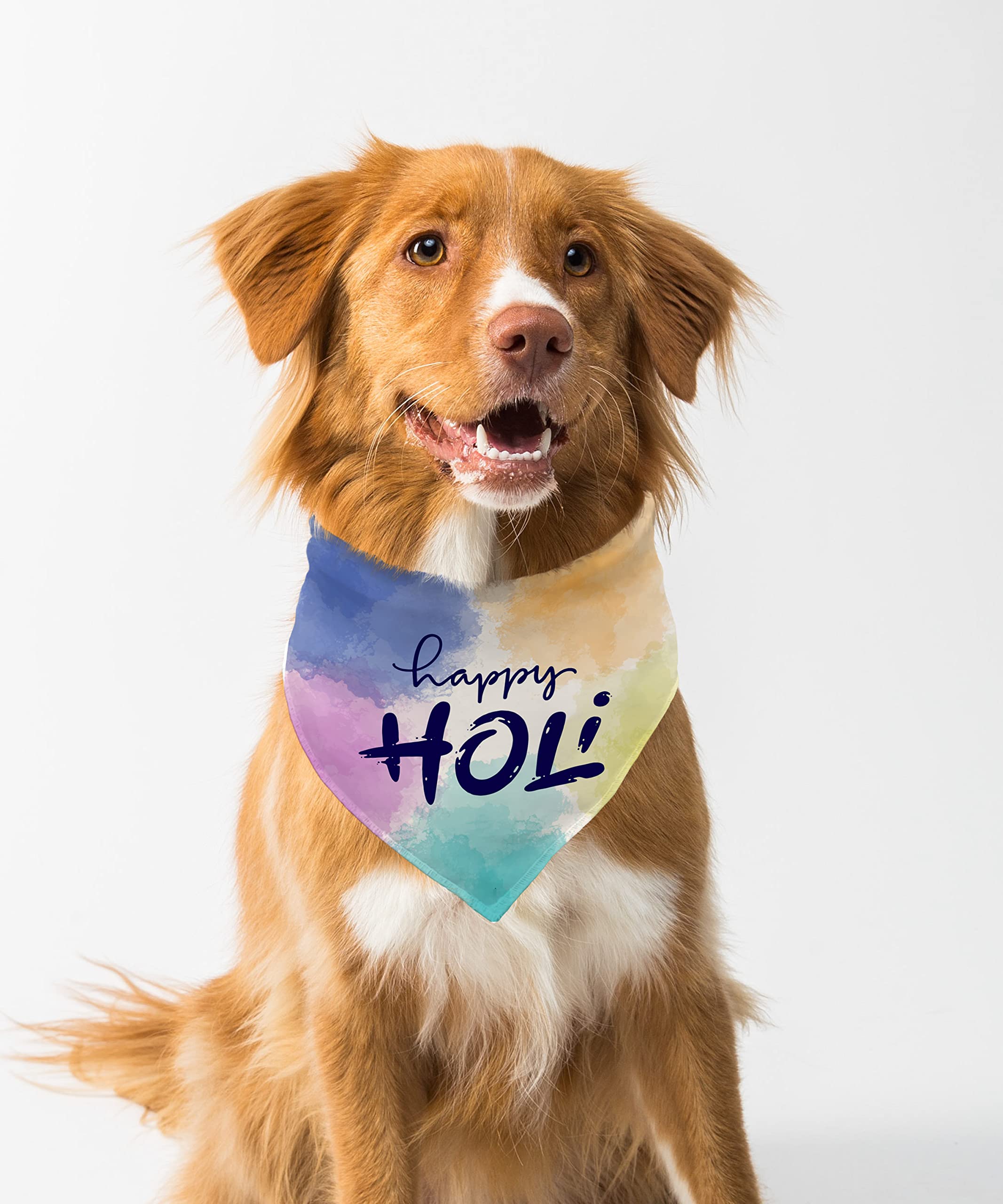Farnup Adjustable & Comfortable Dog Bandana, Happy Holi Design 5, Graphic Printed Holi Design Bandana for Dogs | Dog Scarf, Accessory | Gifts for Dogs-M/L (B0BWWVNJV3) Amazon Price History, Amazon Price Tracker
