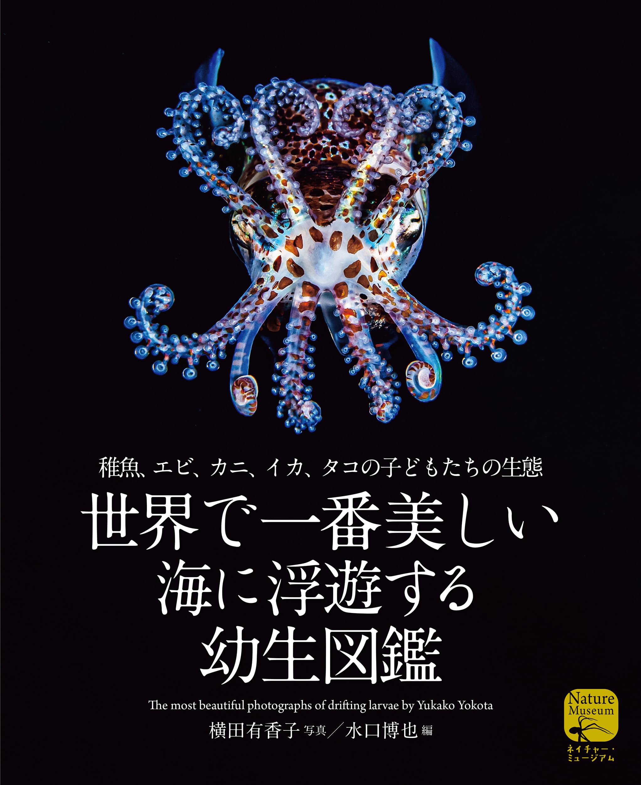 【中古】 砂浜海岸における仔稚魚の生物学 中古】 砂浜海岸における仔稚魚の生物学 【公式通販】
