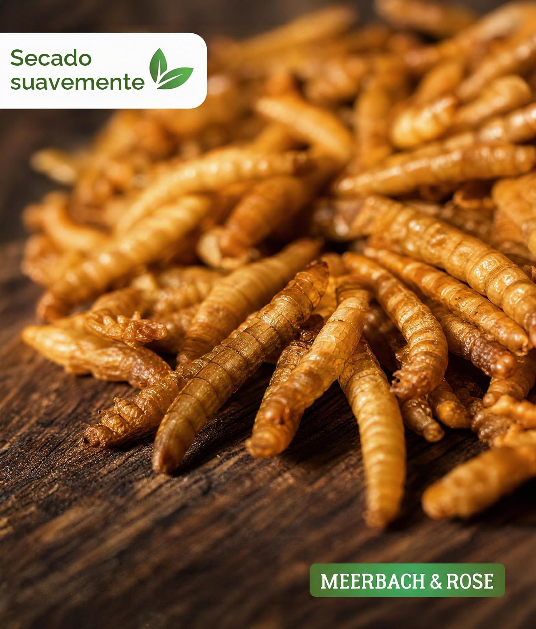 Harina seca 2 kg de capacidad (equivalente a 13 litros) | Snack rico en proteínas para pájaros, aves silvestres, peces, reptiles y roedores. MEERBACH & ROSE - Calidad de Alemania