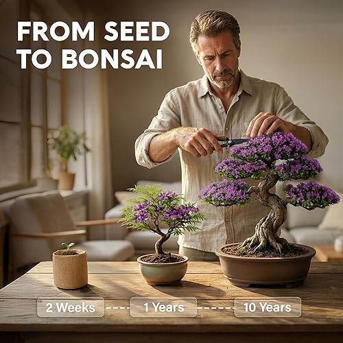 Miniatura 2 de Kit de inicio de Bonsái  Cultivo de Jacaranda Bonzai  Kit completo de árbol interior para cultivar plantas con herramientas y maceta  Regalos de