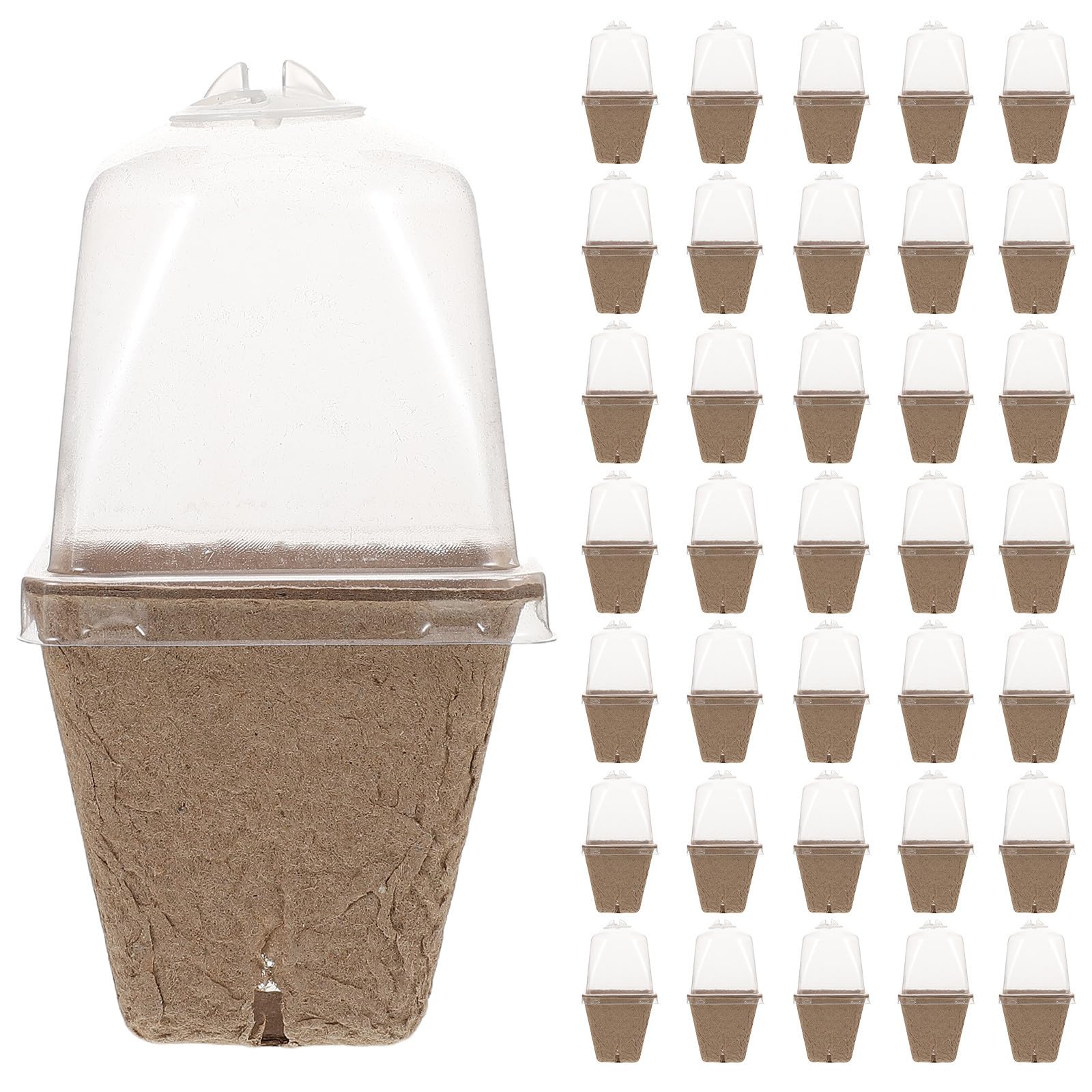 Godets biodégradables pour semis Tofficu avec couvercle ventilé 6cm - Lot de 36